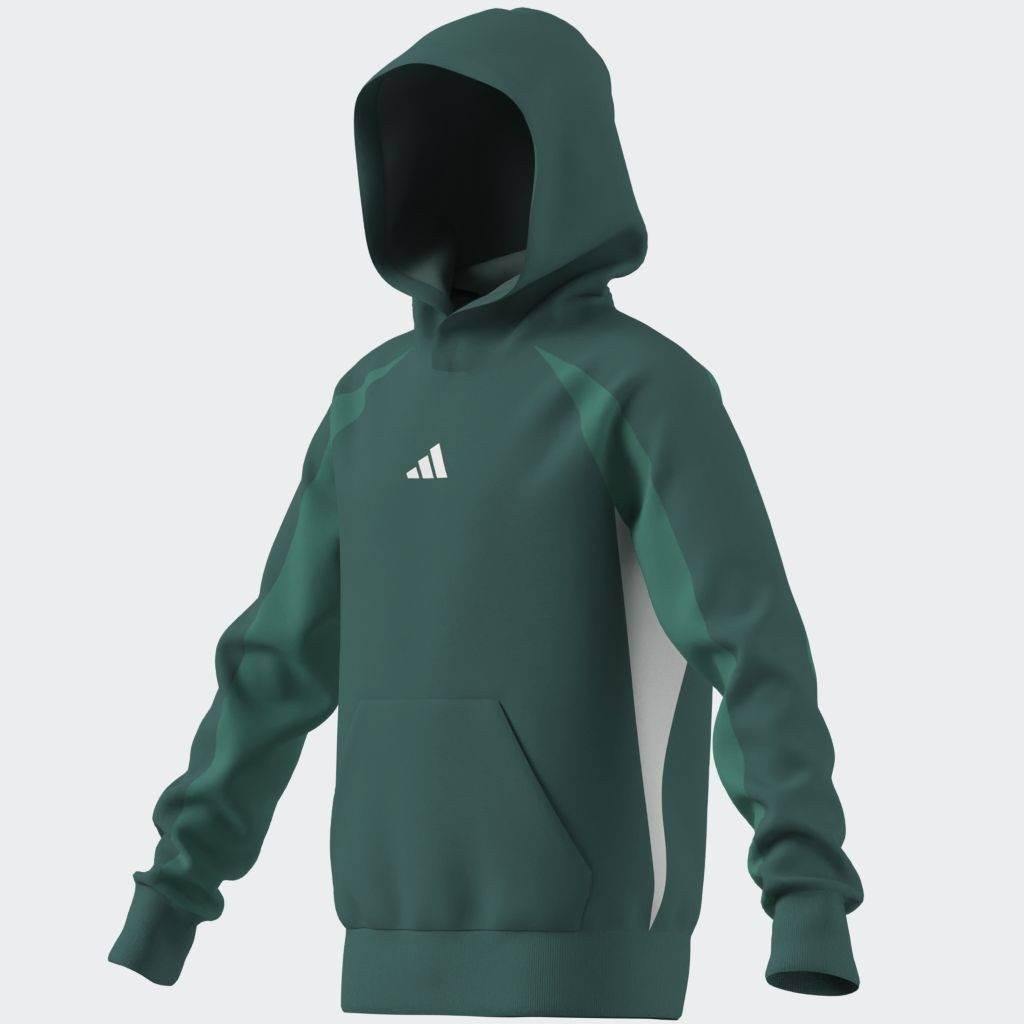 adidas Sportswear Hoodie J CB FL HD