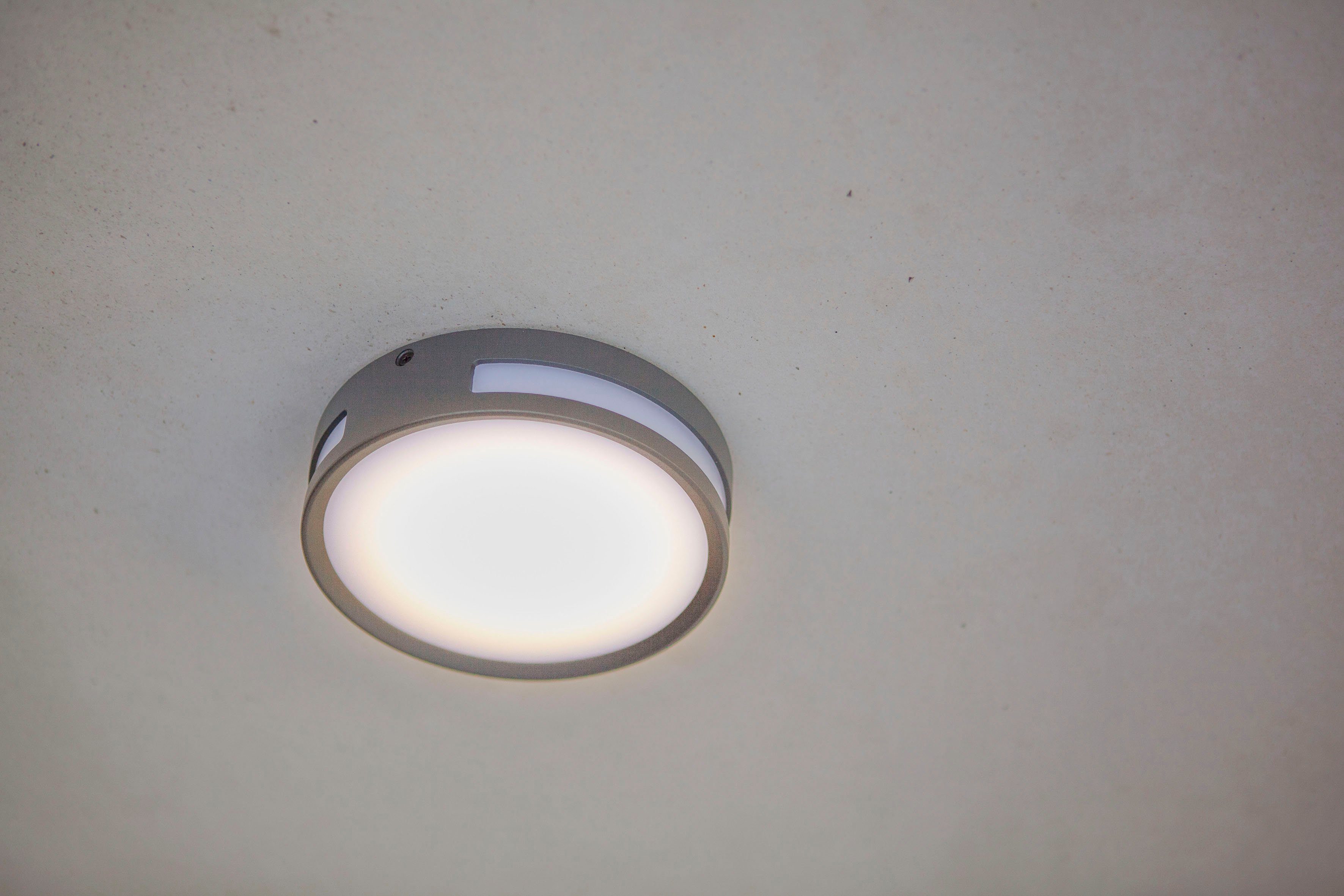 LUTEC Ledwandlamp voor buiten ROLA (1 stuk)