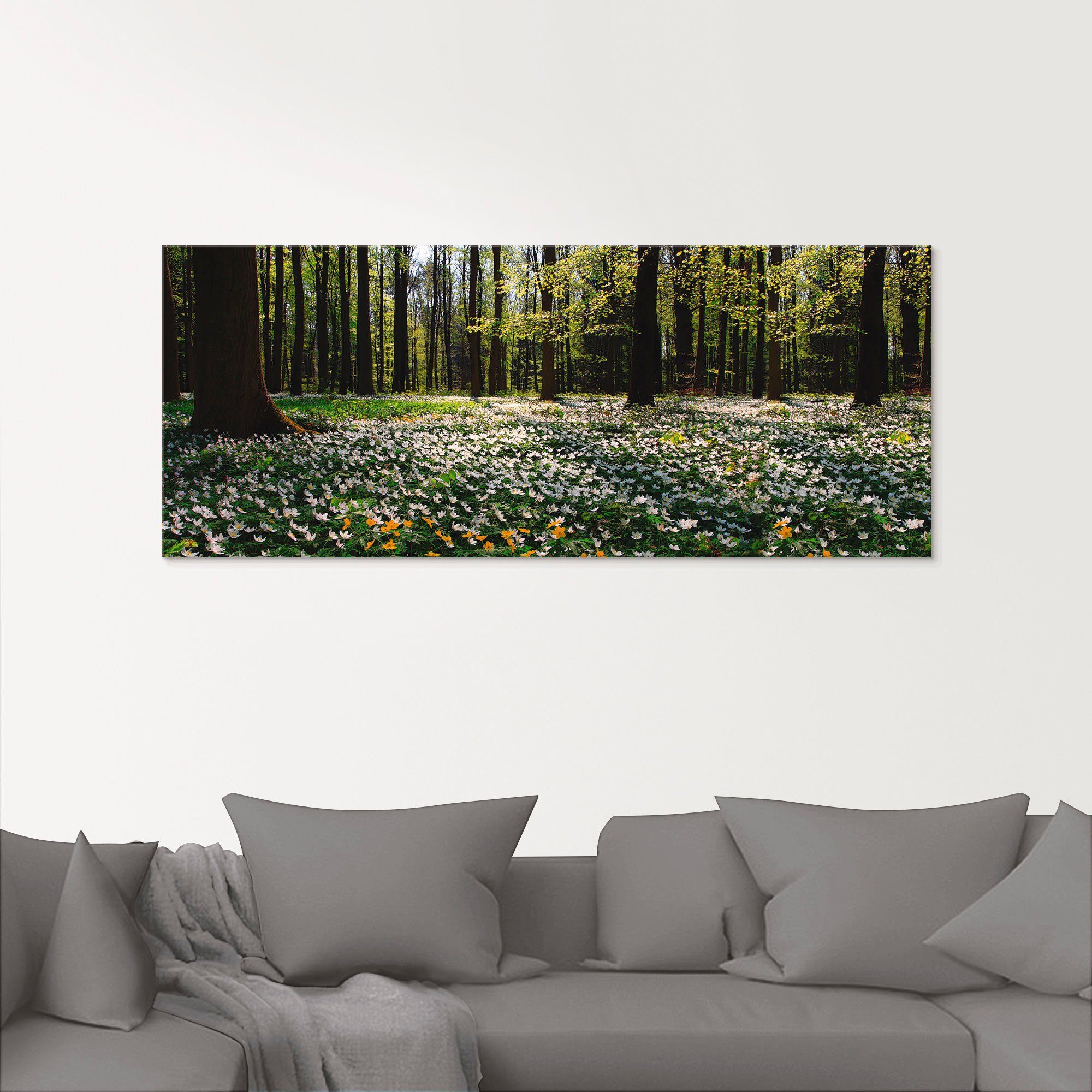 Artland Print op glas Lentebos bedekt met anemonen
