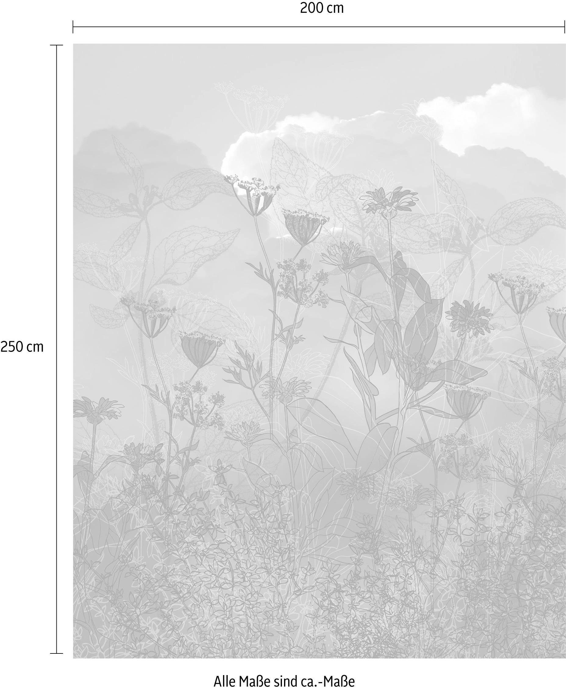 Komar Vliesbehang Digitale print vlies - Blue Sky - Afmeting 200 x 250 cm (1 stuk)