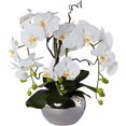 creativ green kunstorchidee vlinderorchidee in een keramische pot wit
