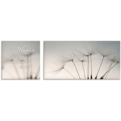 Artland print op glas Zitatenbild, Pusteblumen-Samen