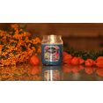 candle-lite™ geurkaars everyday - maple pumpkin swirl  autumn flannel, herfst inhoud per kaars 510 g (set, 2-delig) multicolor