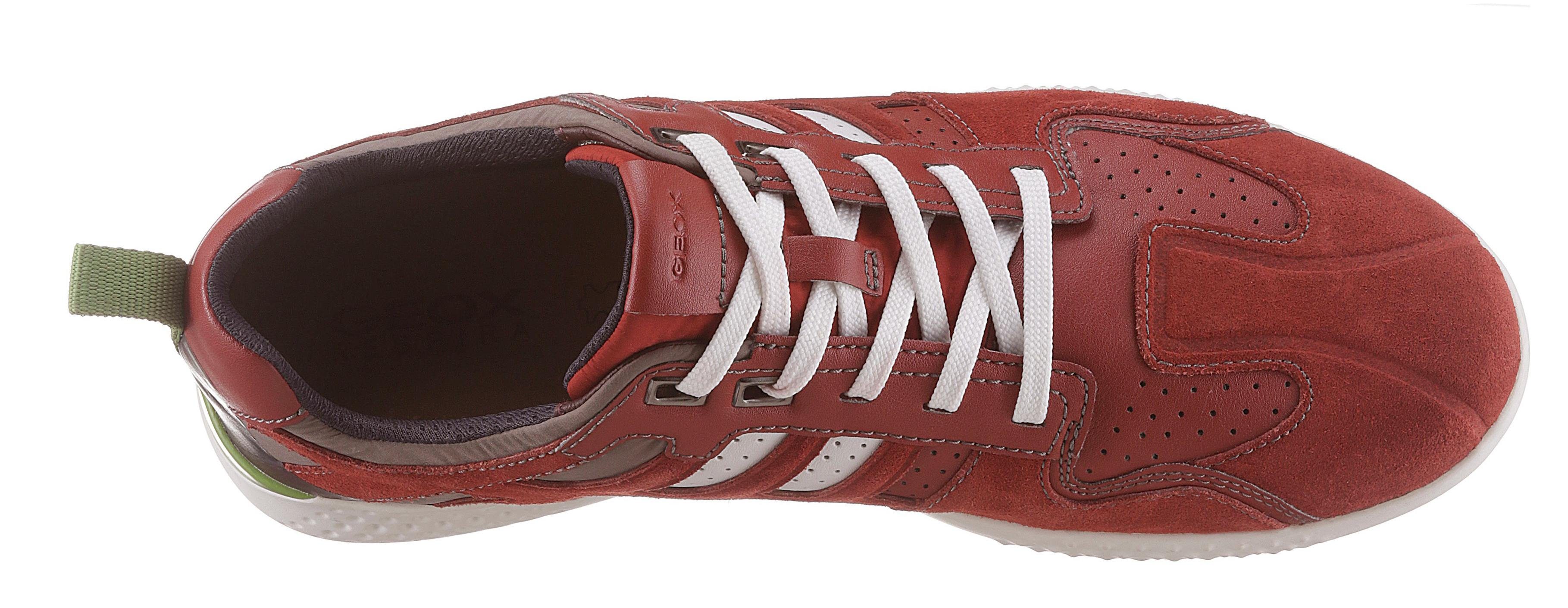 Witte leren sneakers met rood detail - Damesschoenen – SACHA