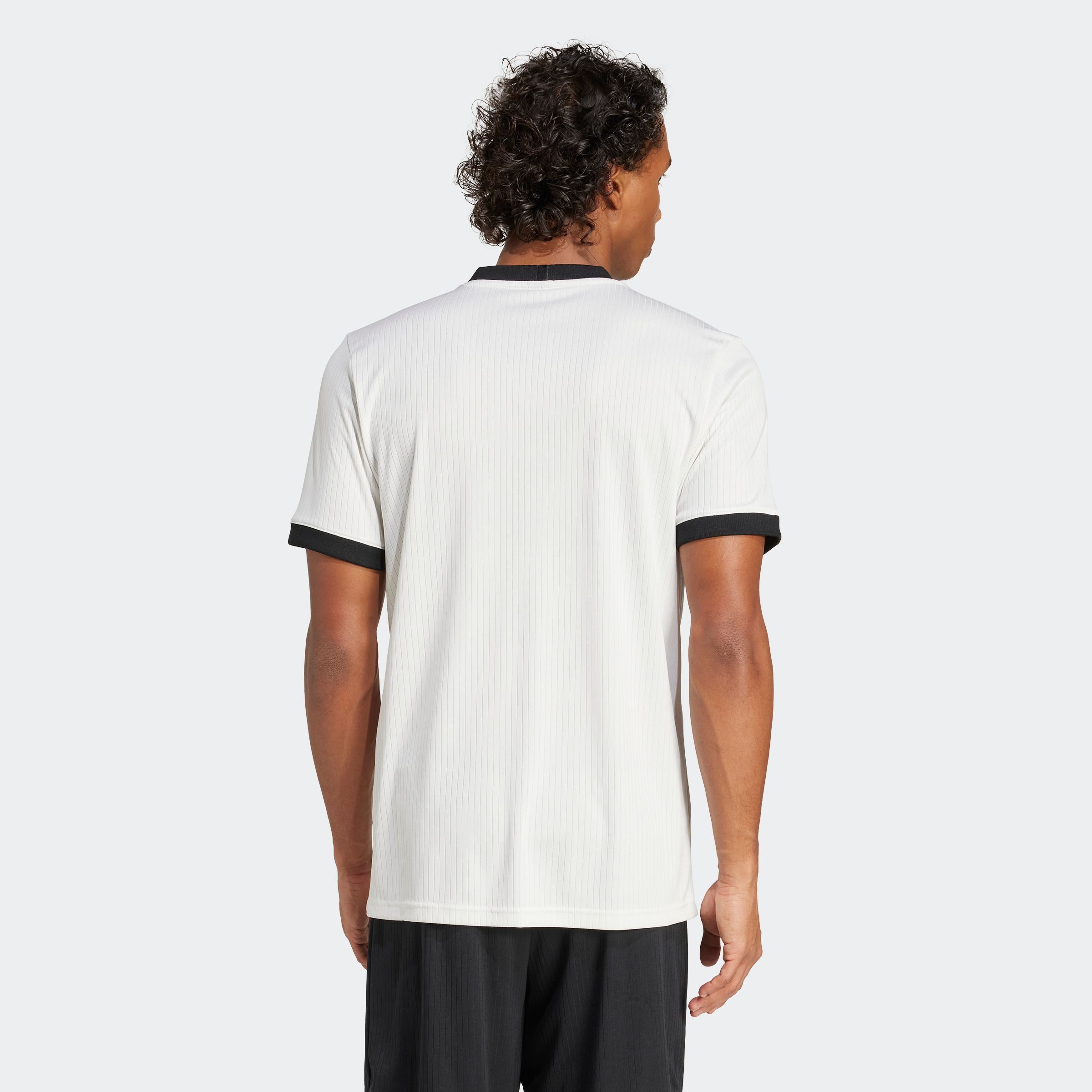 adidas Performance Voetbalshirt DFB 125 JSY Jubileum, 125 jaar jubileumtrui