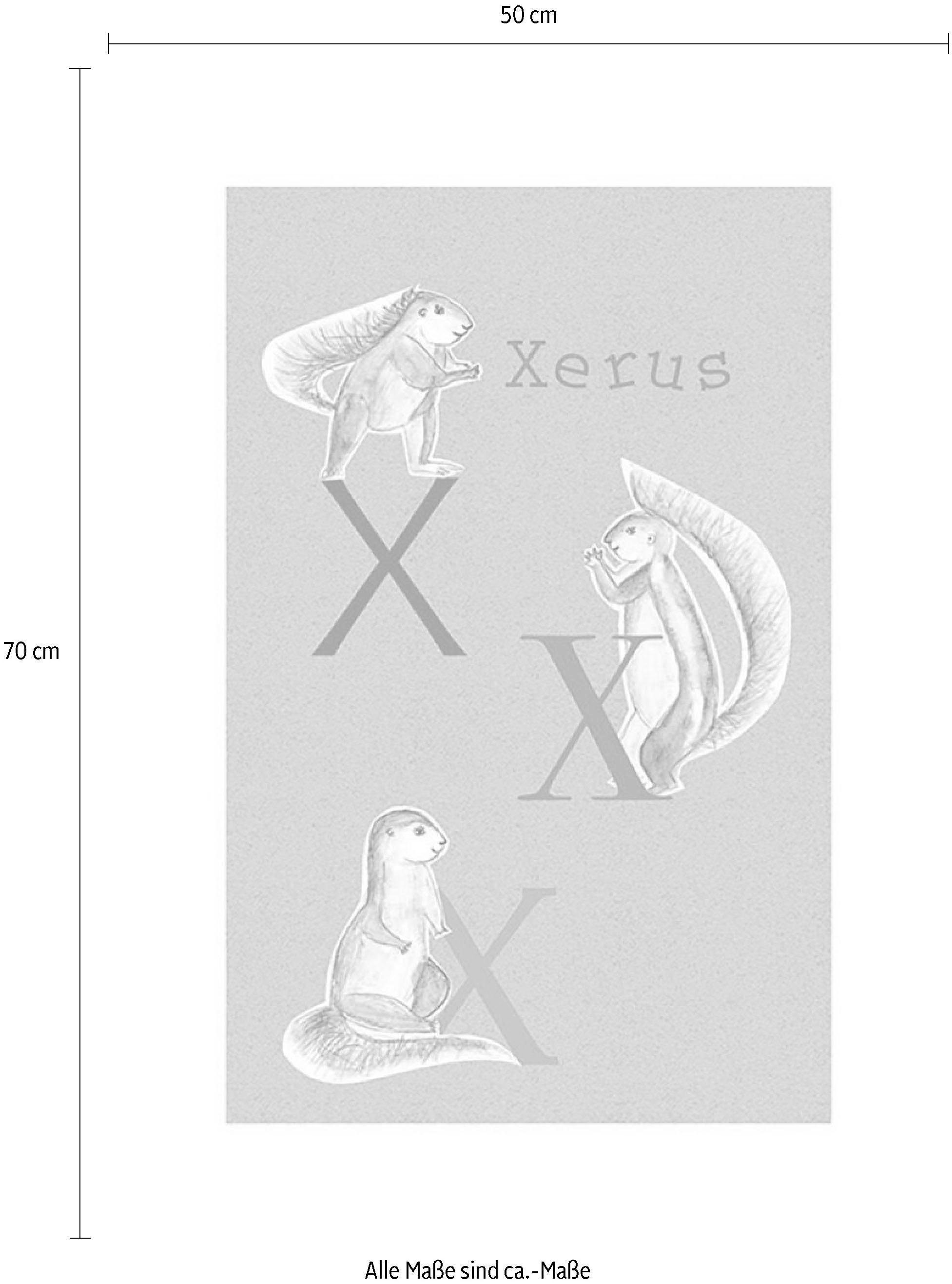 Komar Wanddecoratie ABC Animal X Wanddecoratie - zonder lijst (1 stuk)
