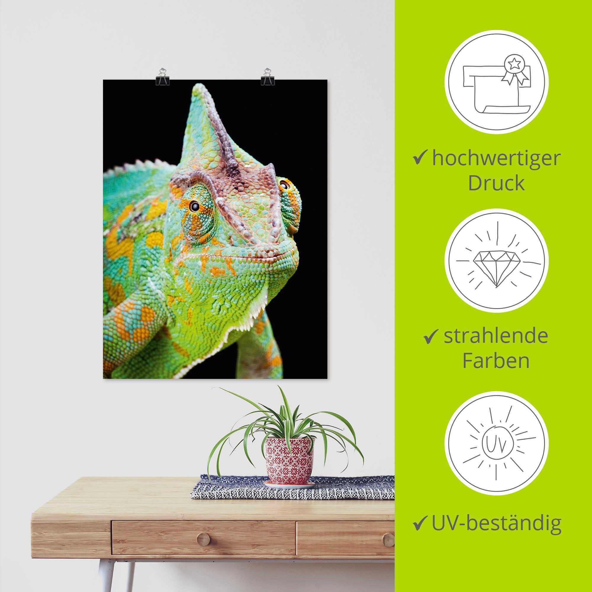 Artland Artprint Yemen kameleon als artprint van aluminium, artprint voor buiten, poster, muursticker in diverse maten formaten