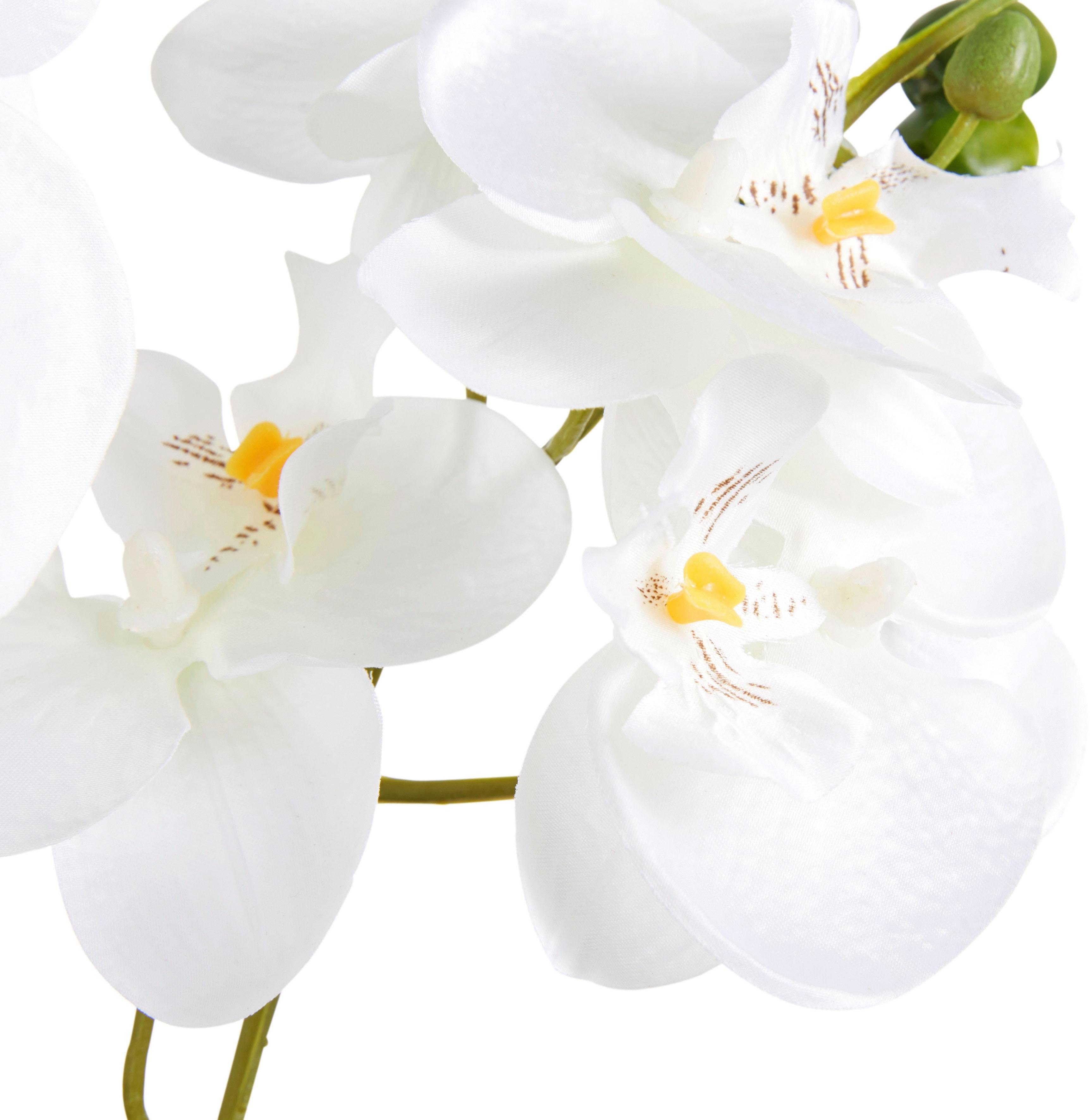 Creativ green Kunstplant Orchidee (1 stuk)