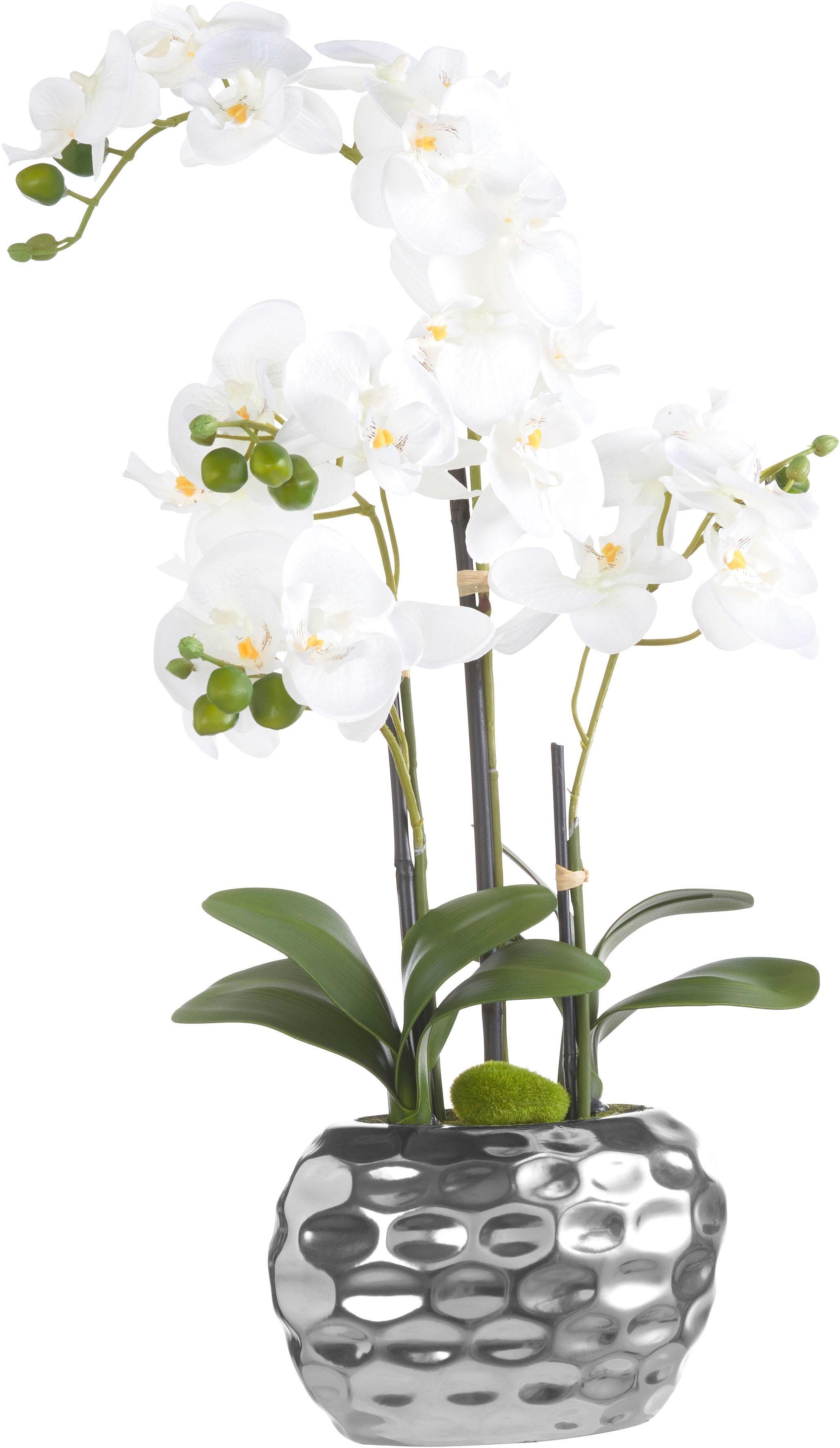 Creativ green Kunstplant Orchidee (1 stuk)