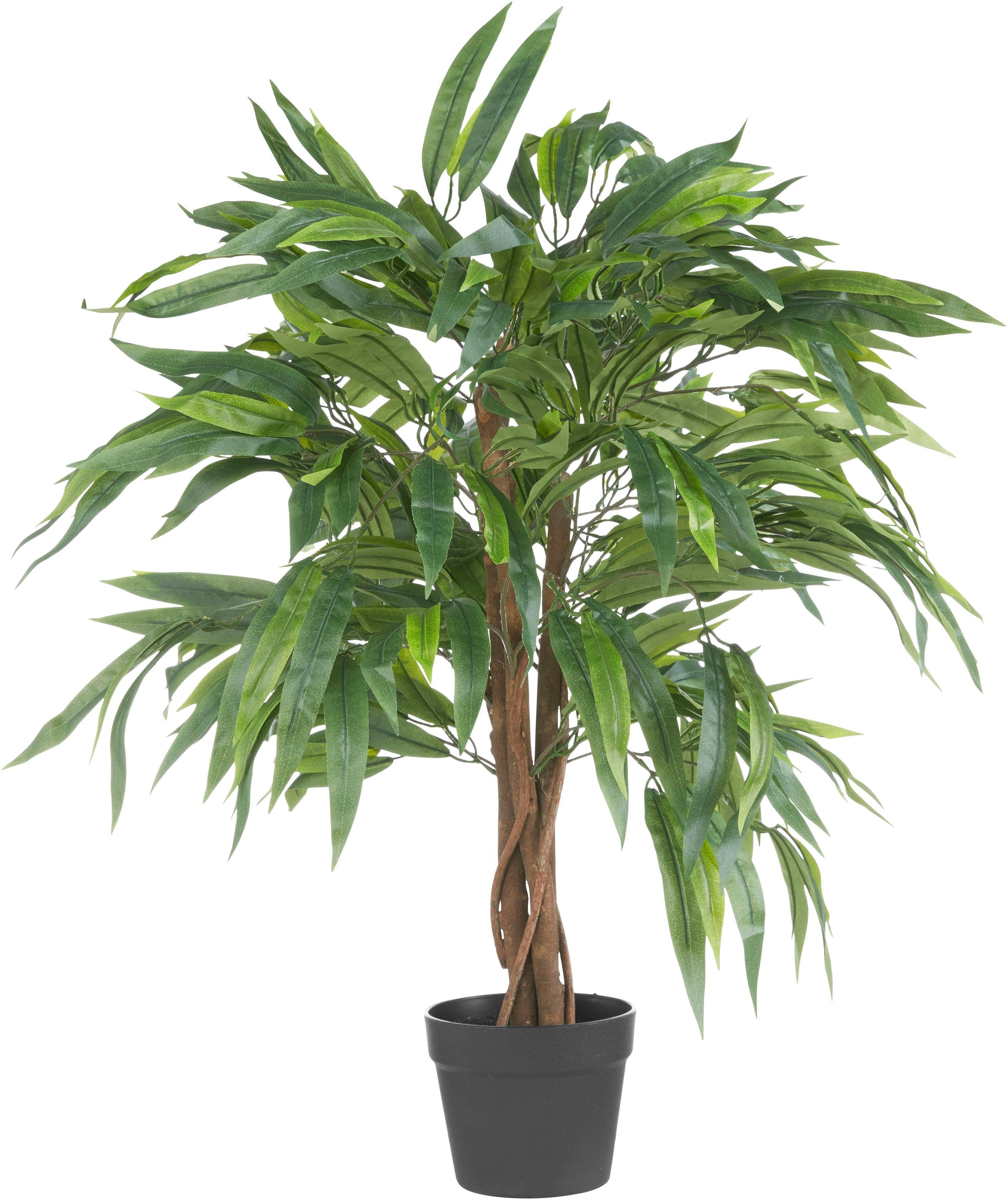 Creativ green Kunstplant Weeping-ficus (1 stuk)