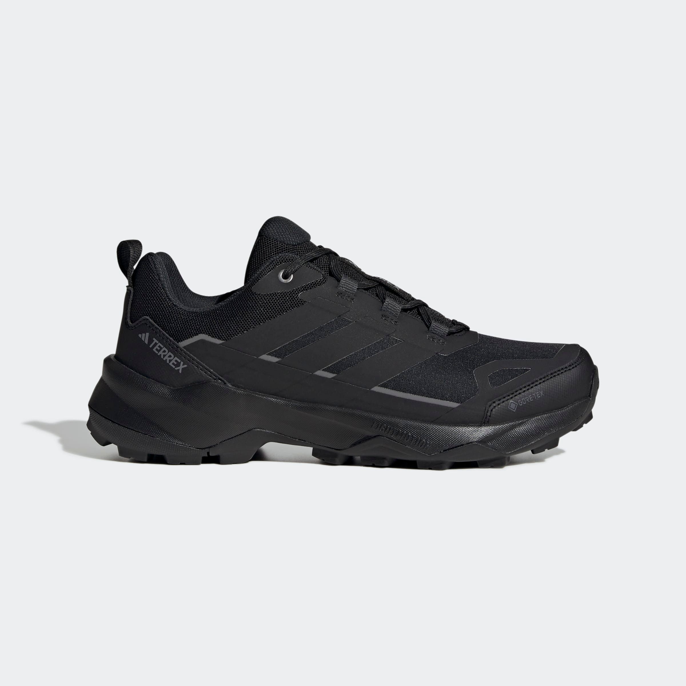 adidas TERREX Wandelschoenen TERREX SKYCHASER AX5 GORE-TEX E