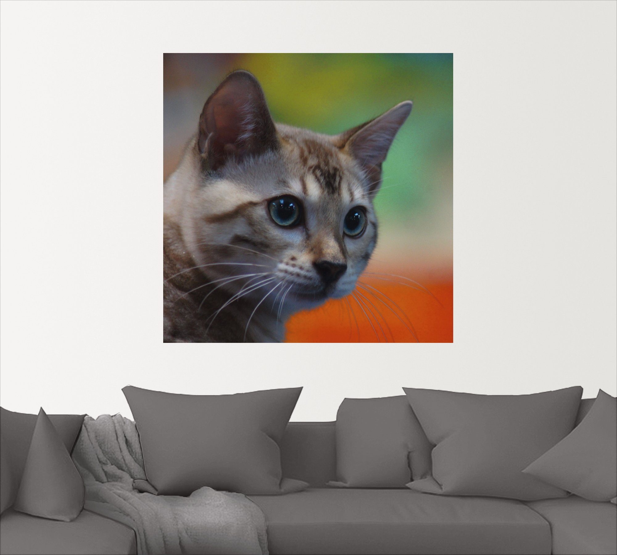 Artland Artprint Witte Bengaalse kat als artprint van aluminium, artprint op linnen, muursticker of poster in verschillende maten