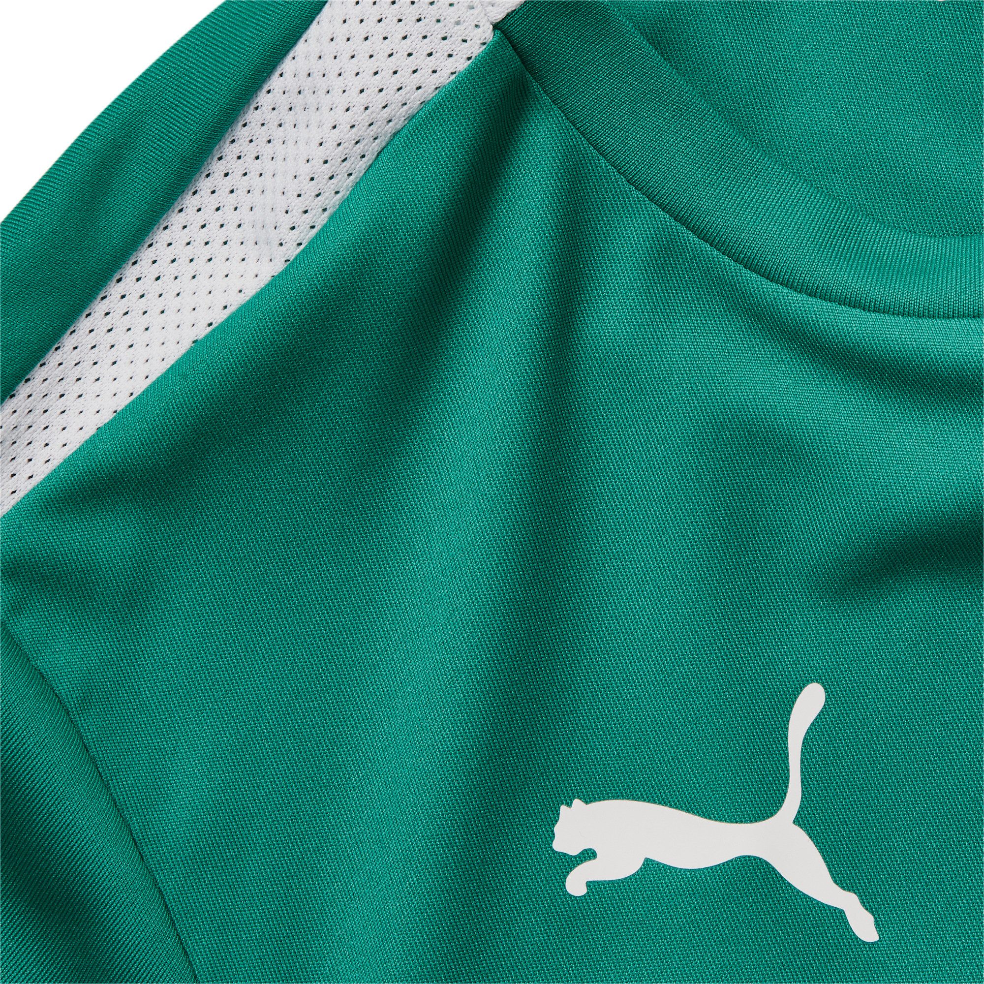 PUMA Trainingstop TEAMLIGA JERSEY JR