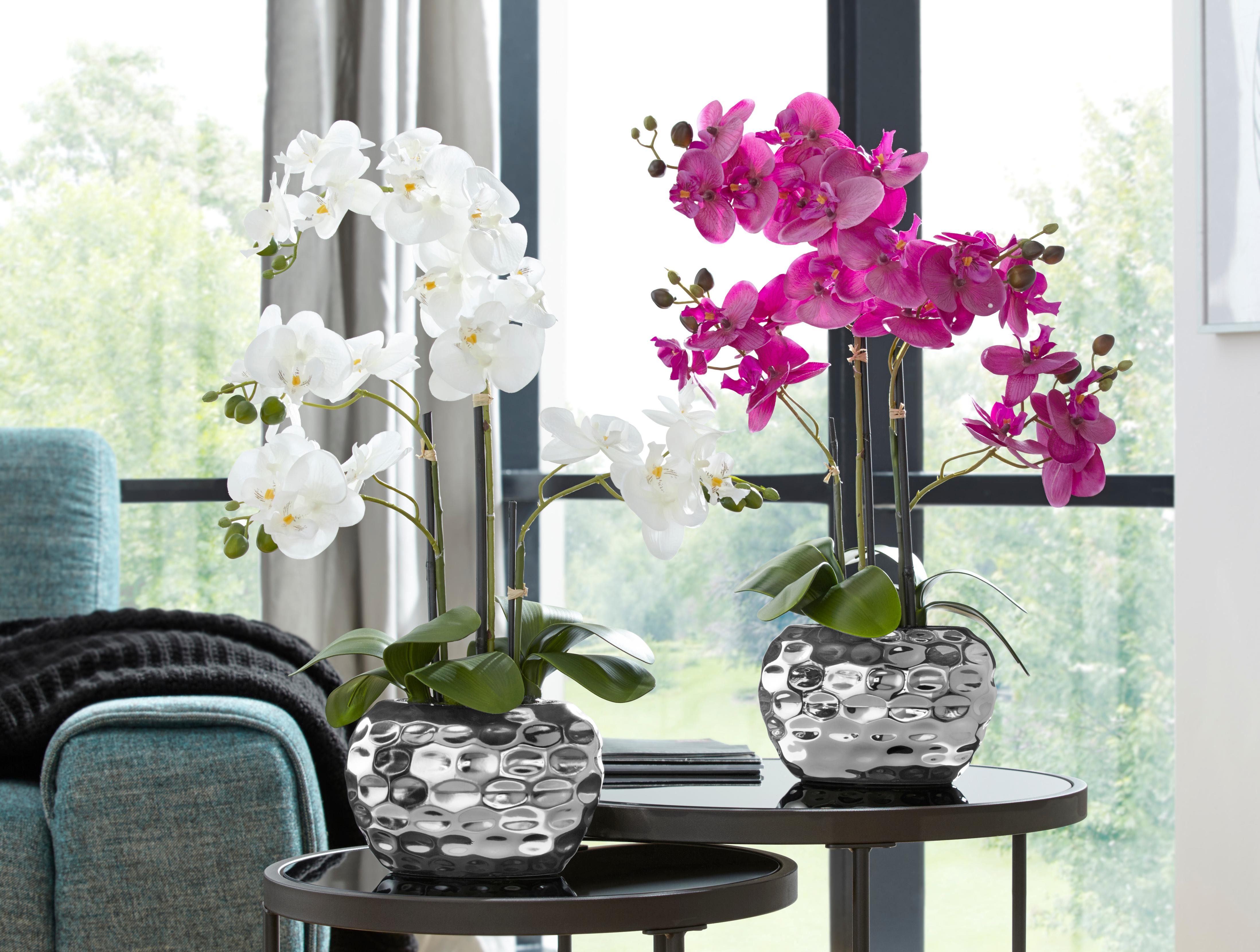 Creativ green Kunstplant Orchidee (1 stuk)