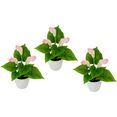 i.ge.a. kunstplant mini calla (set, 3 stuks) roze