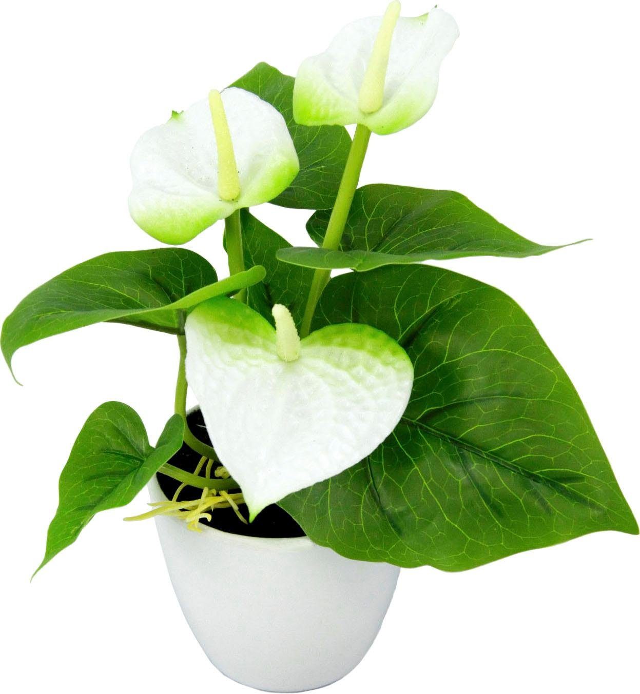 I.GE.A. Kunstplant Mini Anthurie (set, 3 stuks)