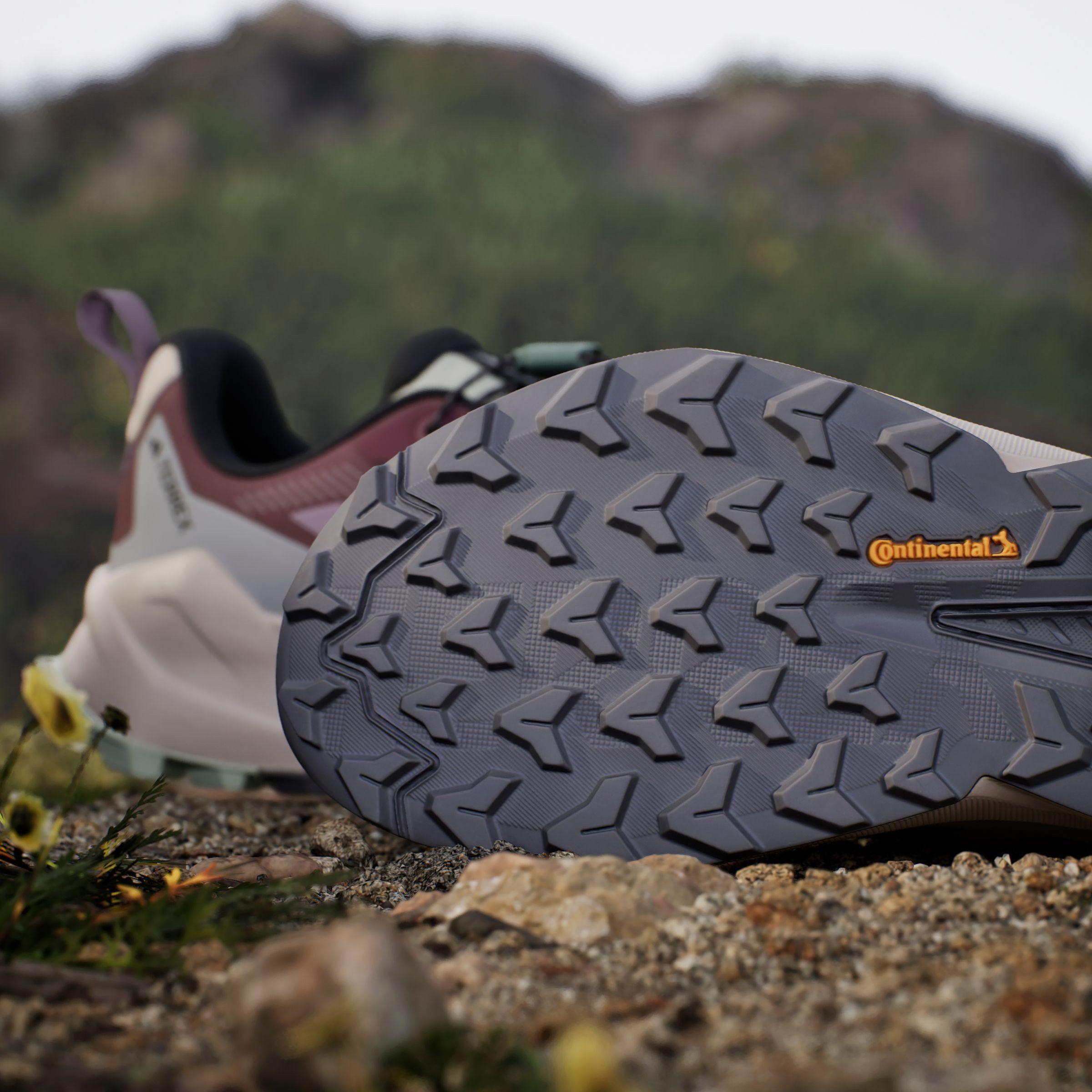 adidas TERREX Wandelschoenen