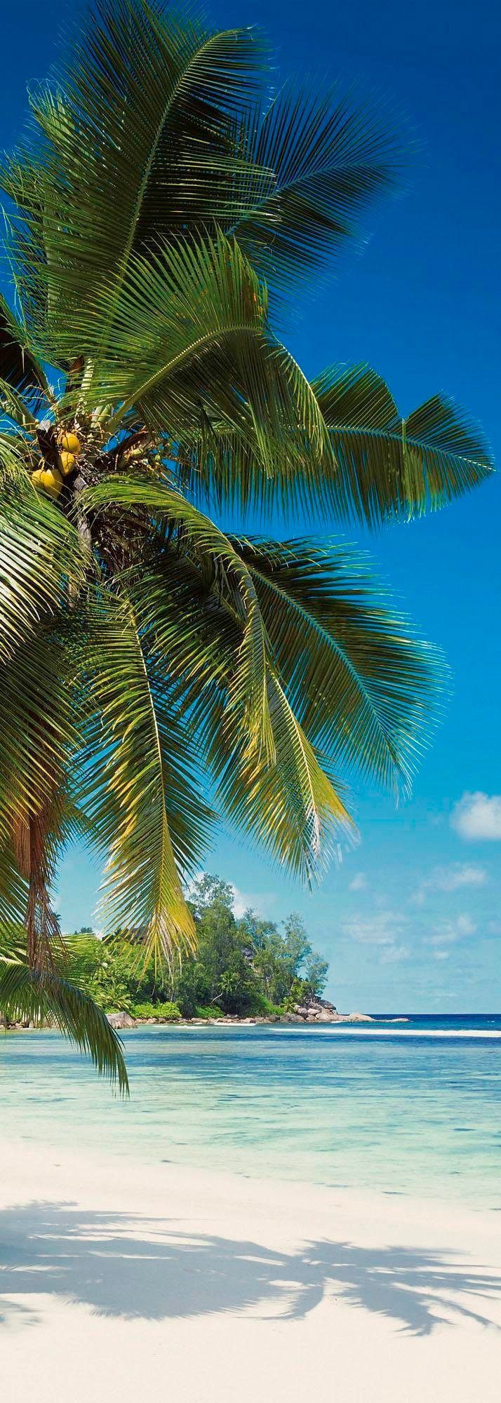 Komar Vliesbehang Coconut B