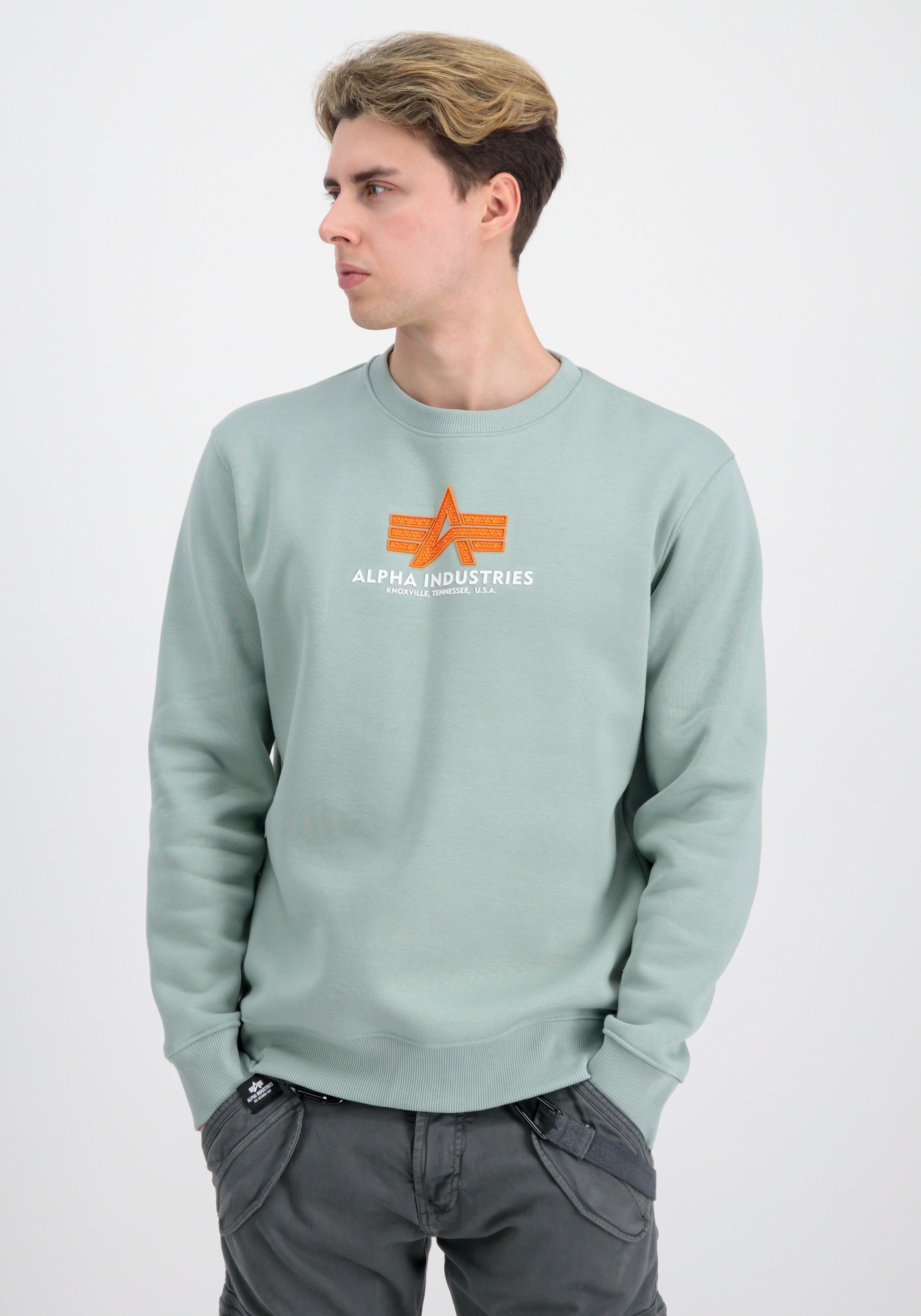 NU 20% KORTING: Alpha Industries Sweater Alpha Industries Men Sweatshirts Basic Sweater Rubber