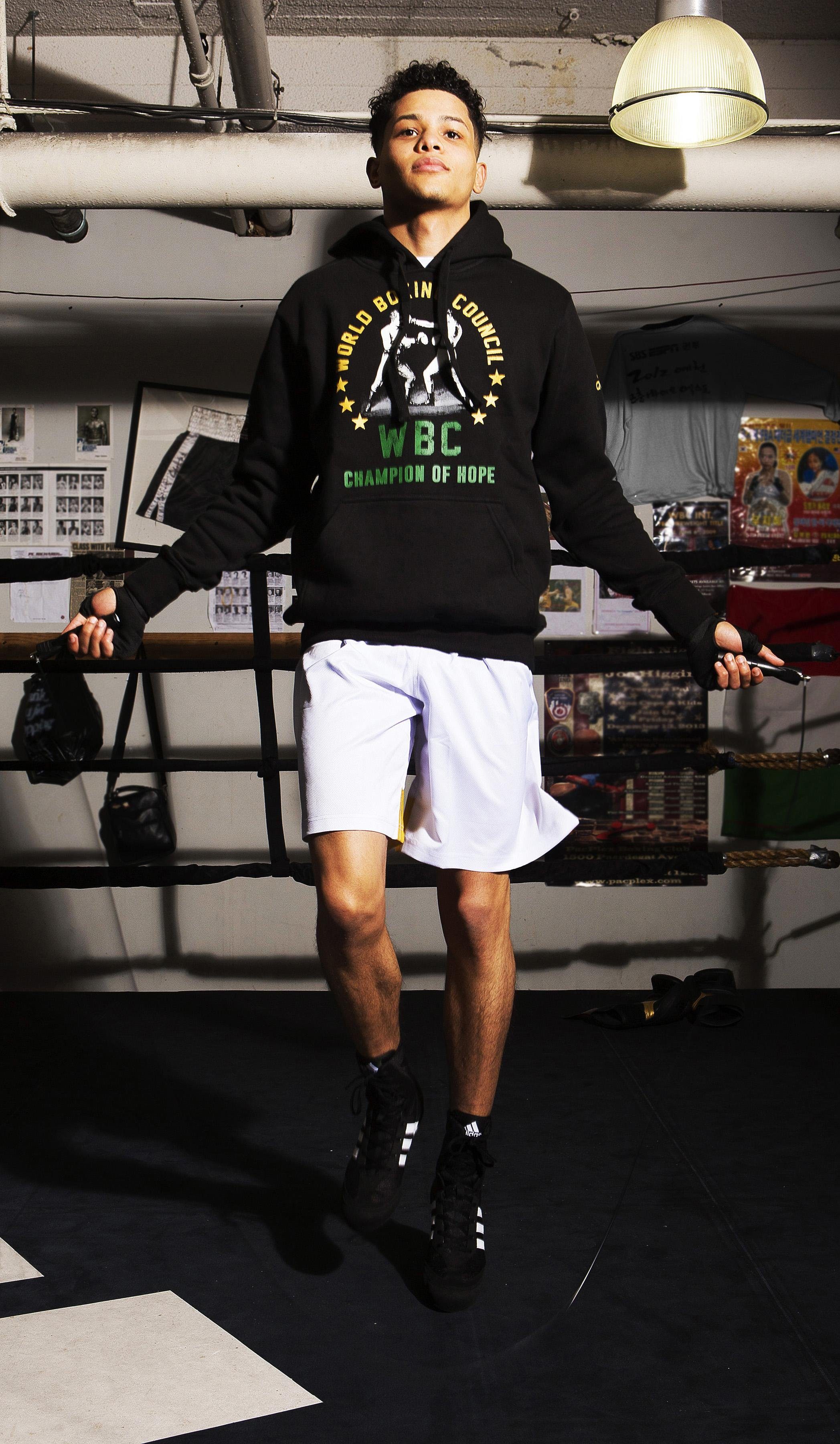 adidas Performance Hoodie WBC Hoody Heritage