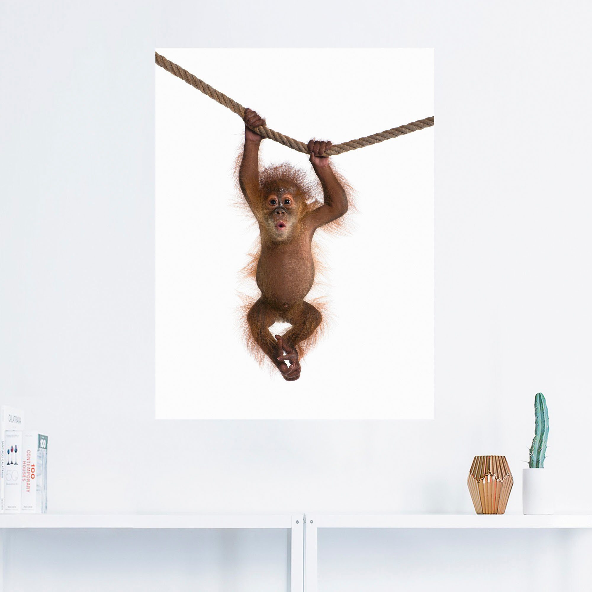 Artland Artprint Baby orang oetan hangt aan het touw II als artprint van aluminium, artprint voor buiten, artprint op linnen, poster, muursticker