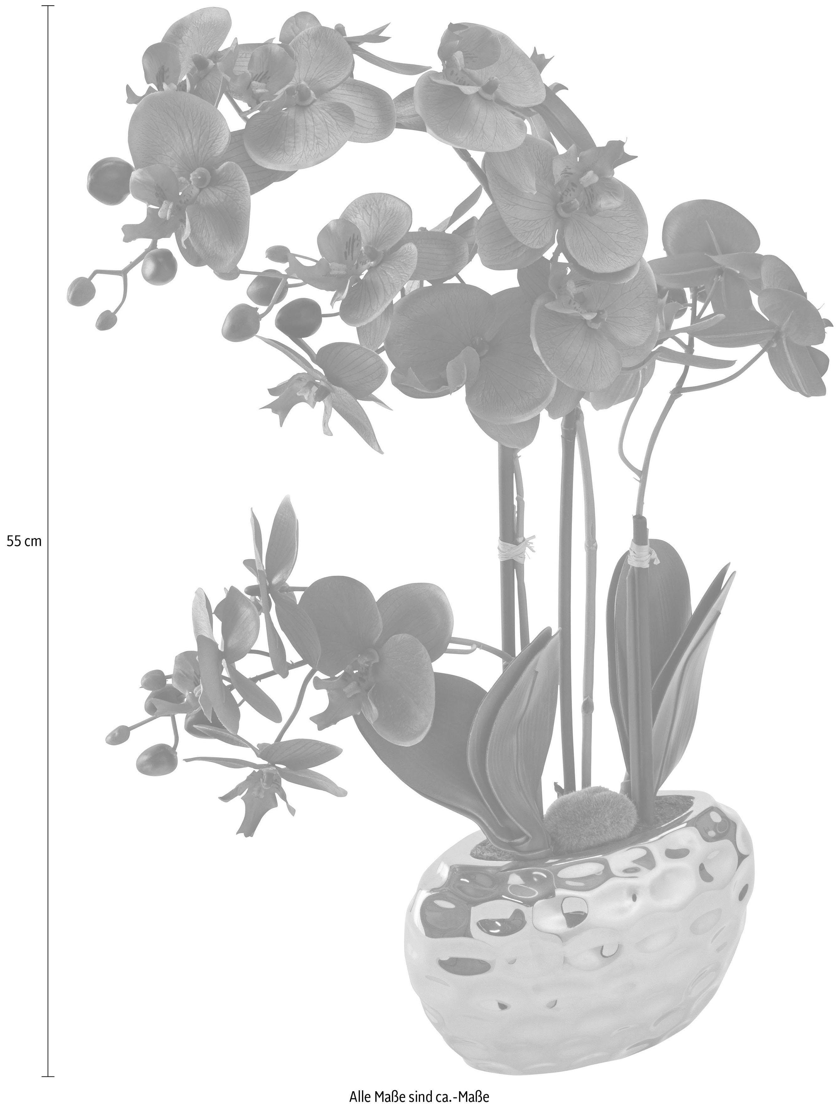 Creativ green Kunstplant Orchidee (1 stuk)