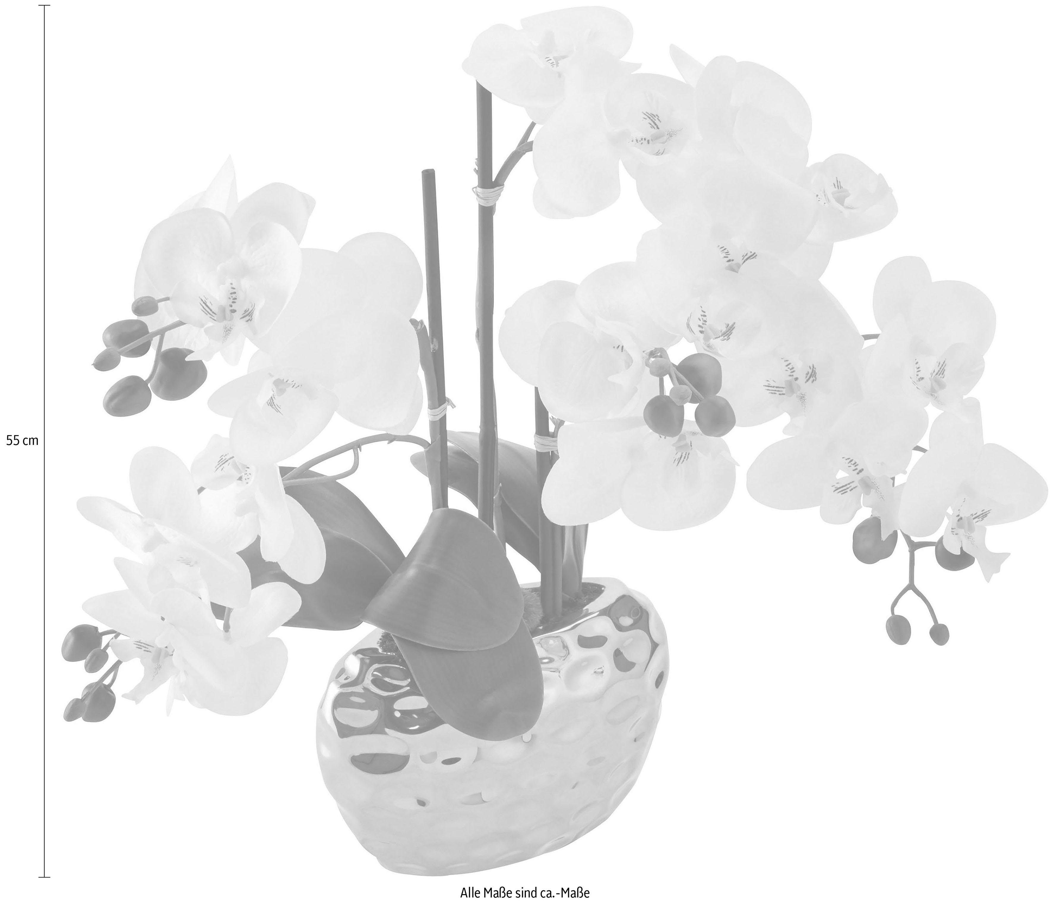Creativ green Kunstplant Orchidee (1 stuk)