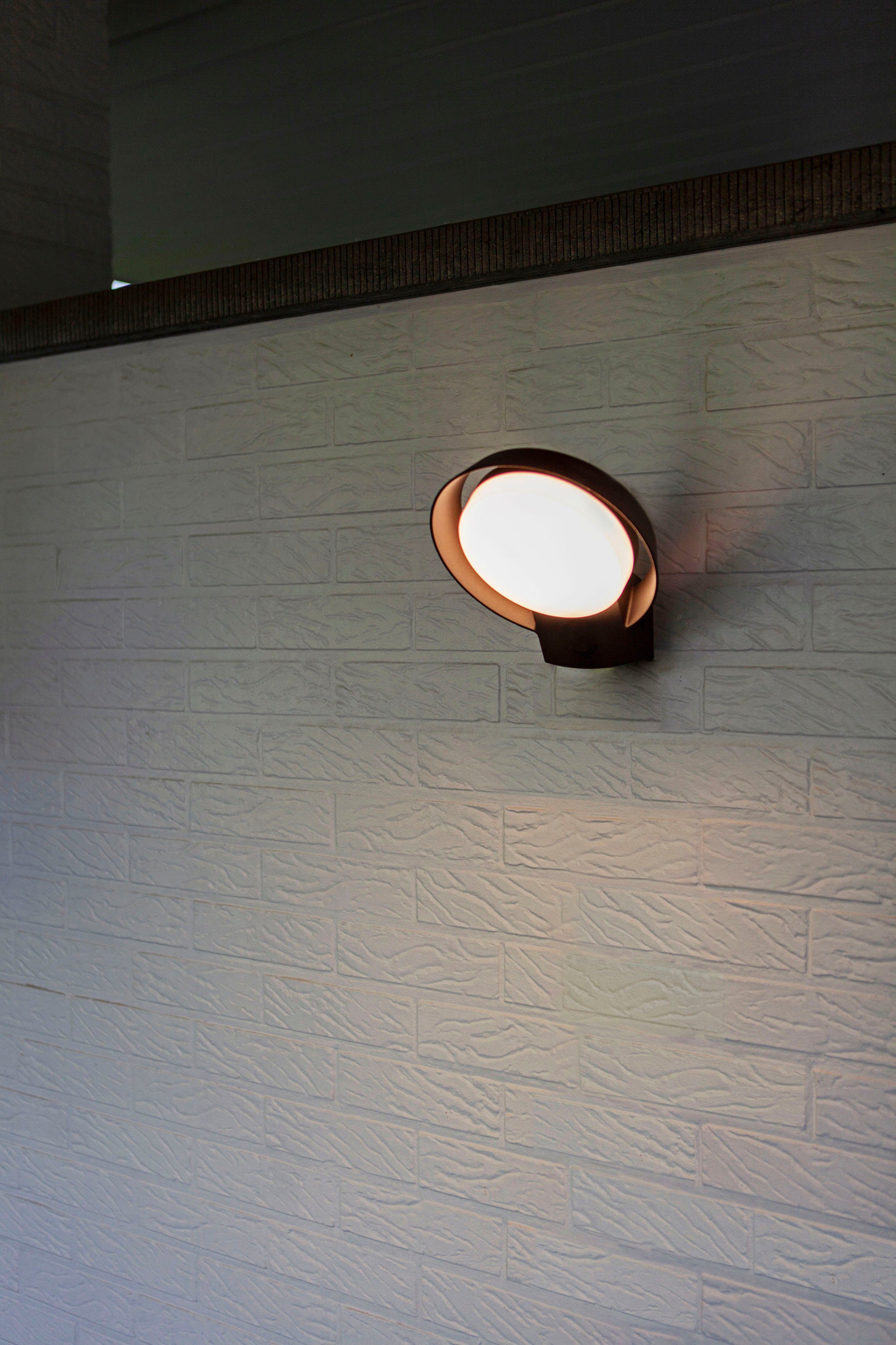 LUTEC Ledwandlamp voor buiten Polo (1 stuk)