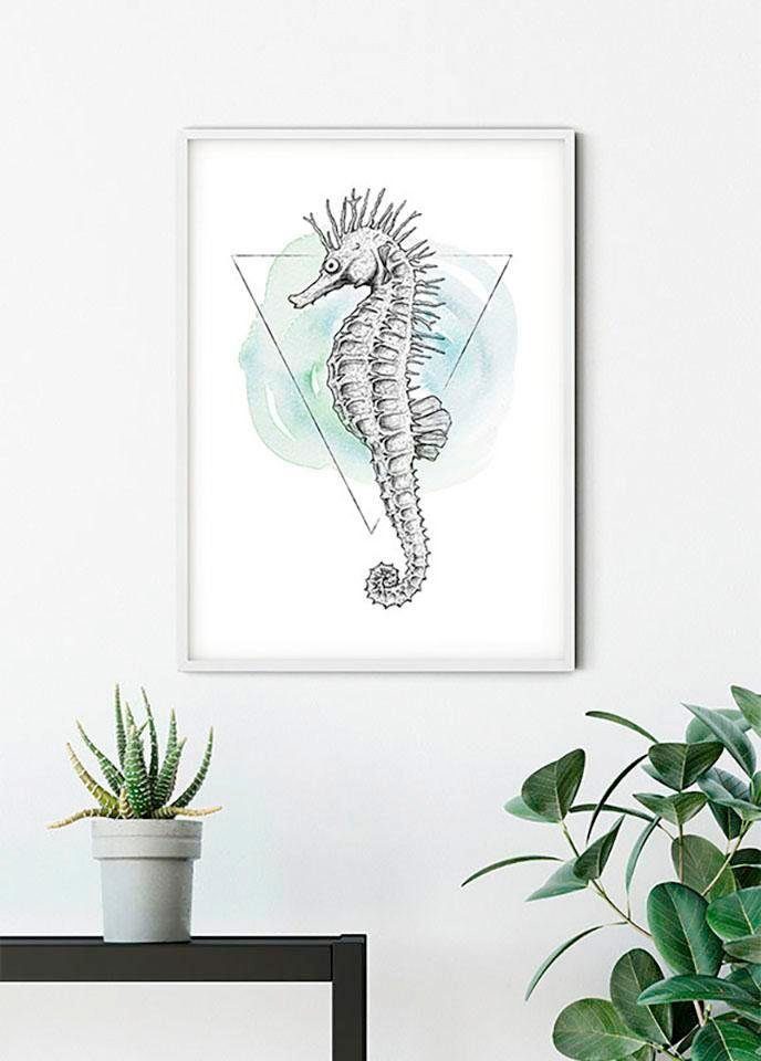 Komar Wanddecoratie Sea Horse Watercolor Wanddecoratie - zonder lijst (1 stuk)