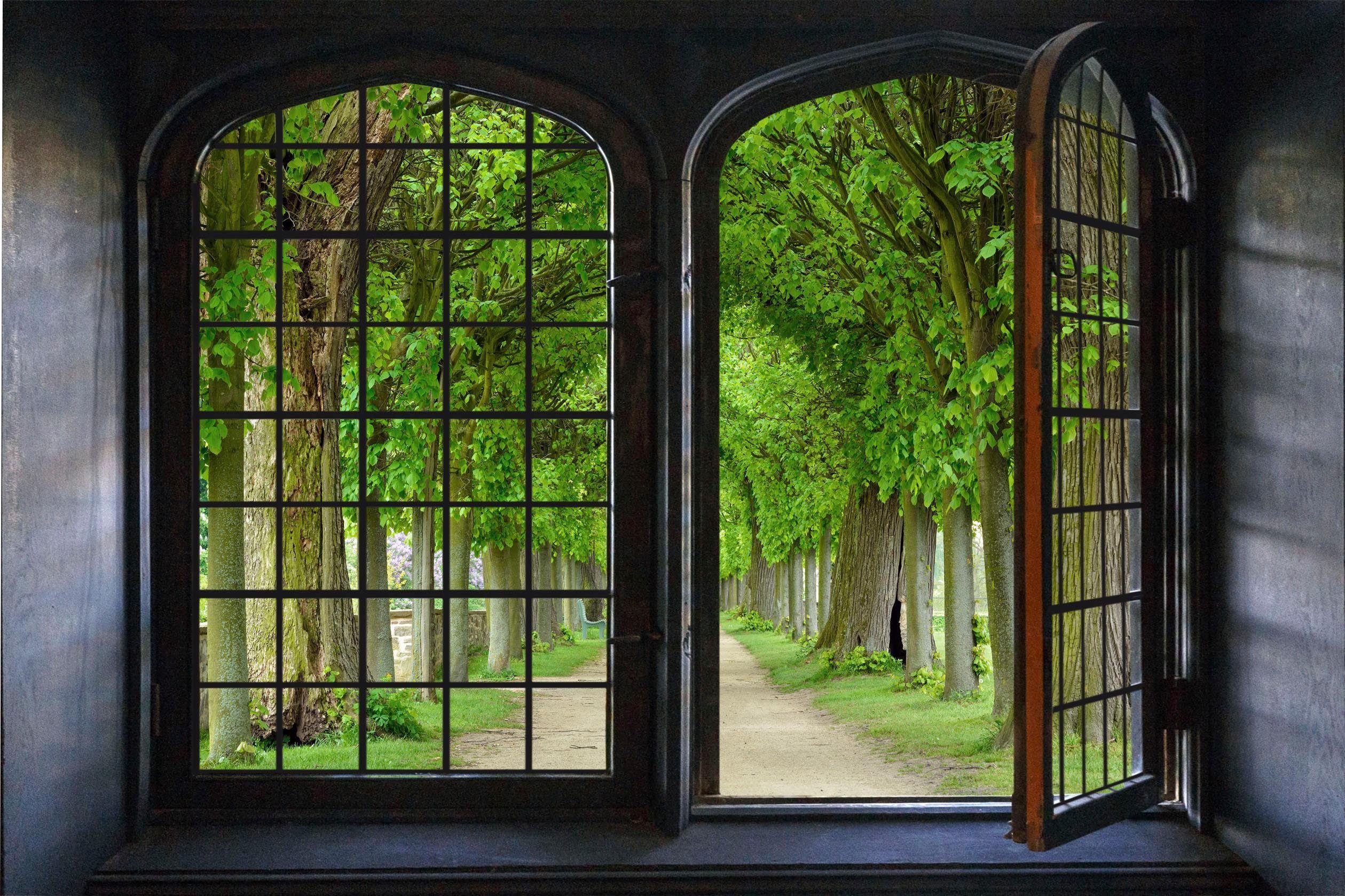 queence Wandfolie Allee Muursticker, muurdecoratie, zelfklevend, 3D, raam