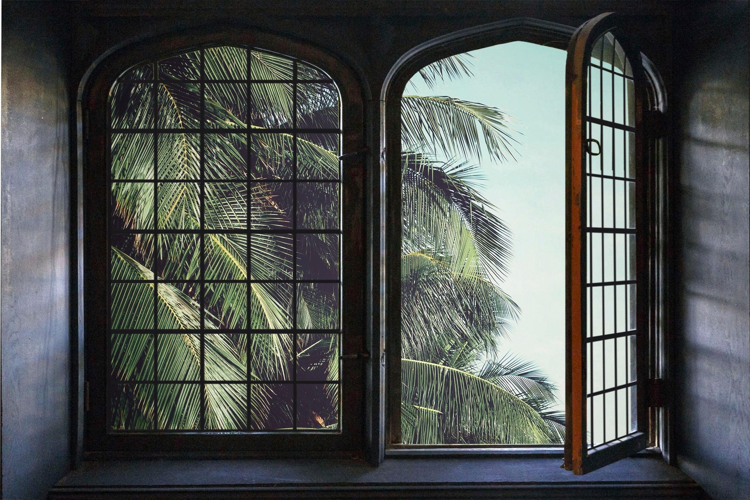 queence Wandfolie Palm Muursticker, muurdecoratie, zelfklevend, 3D, raam