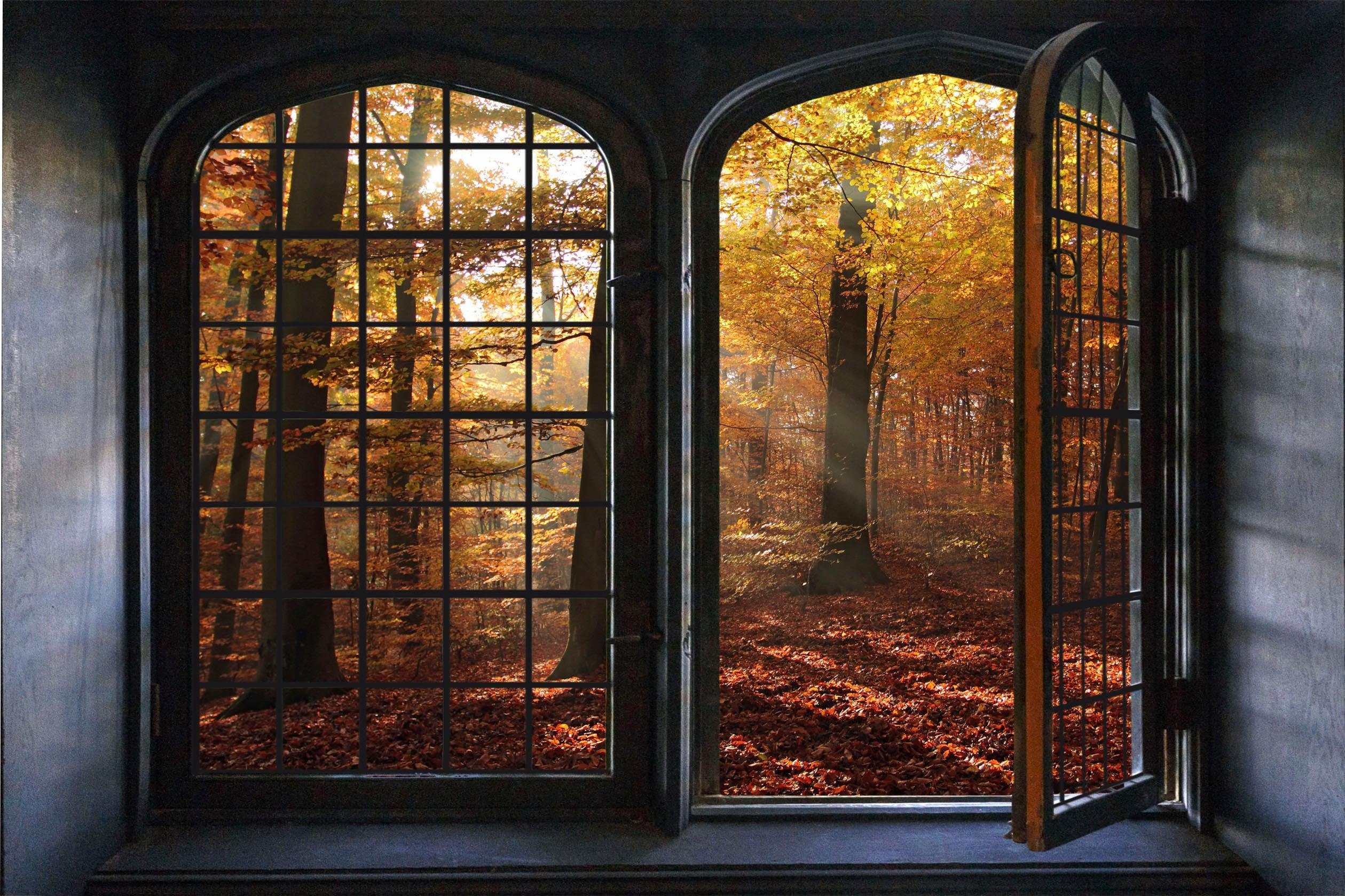 queence Wandfolie Herfstdag Muursticker, muurdecoratie, zelfklevend, 3D, raam