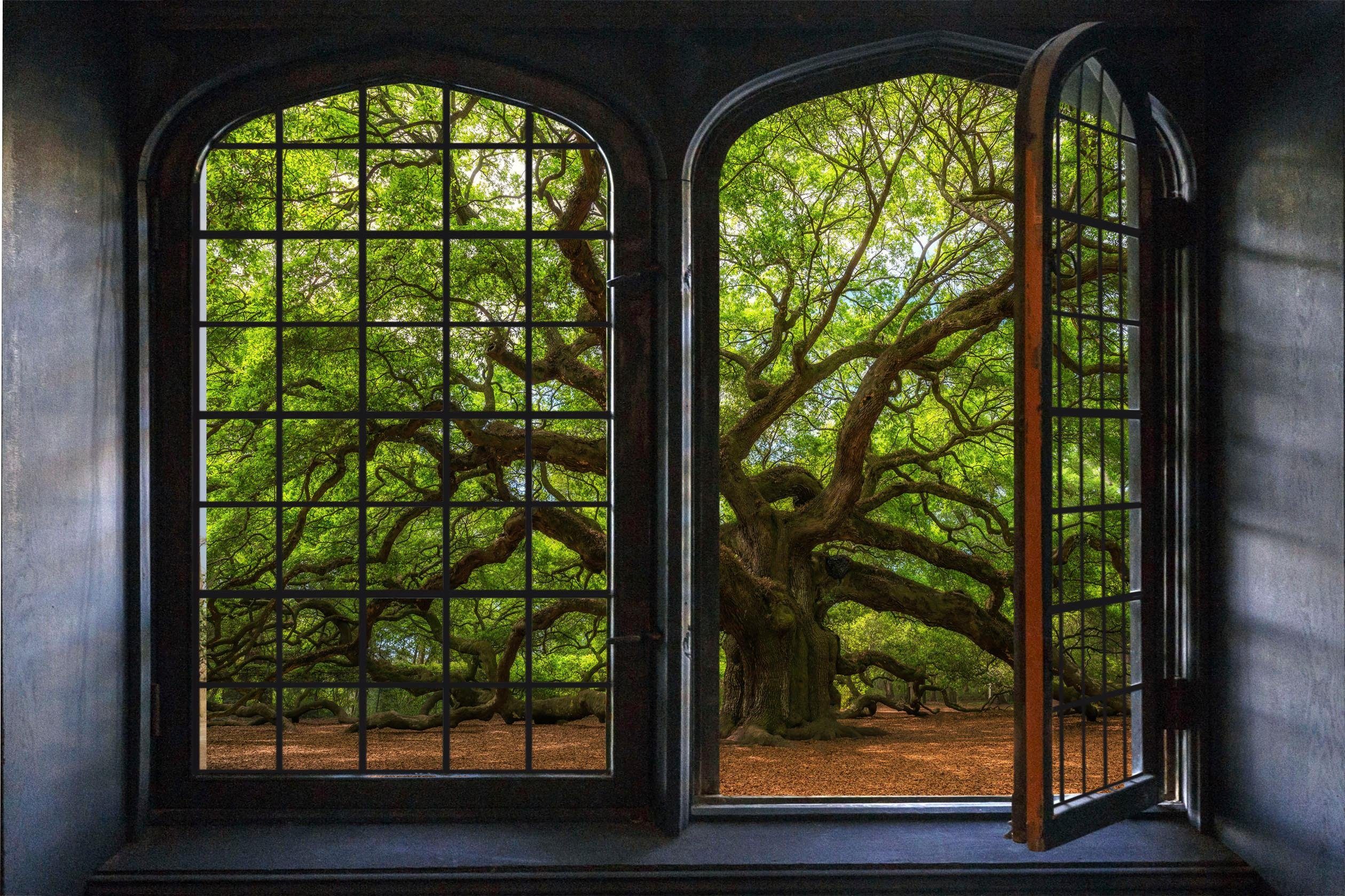 queence Wandfolie Bomen Muursticker, muurdecoratie, zelfklevend, 3D, raam