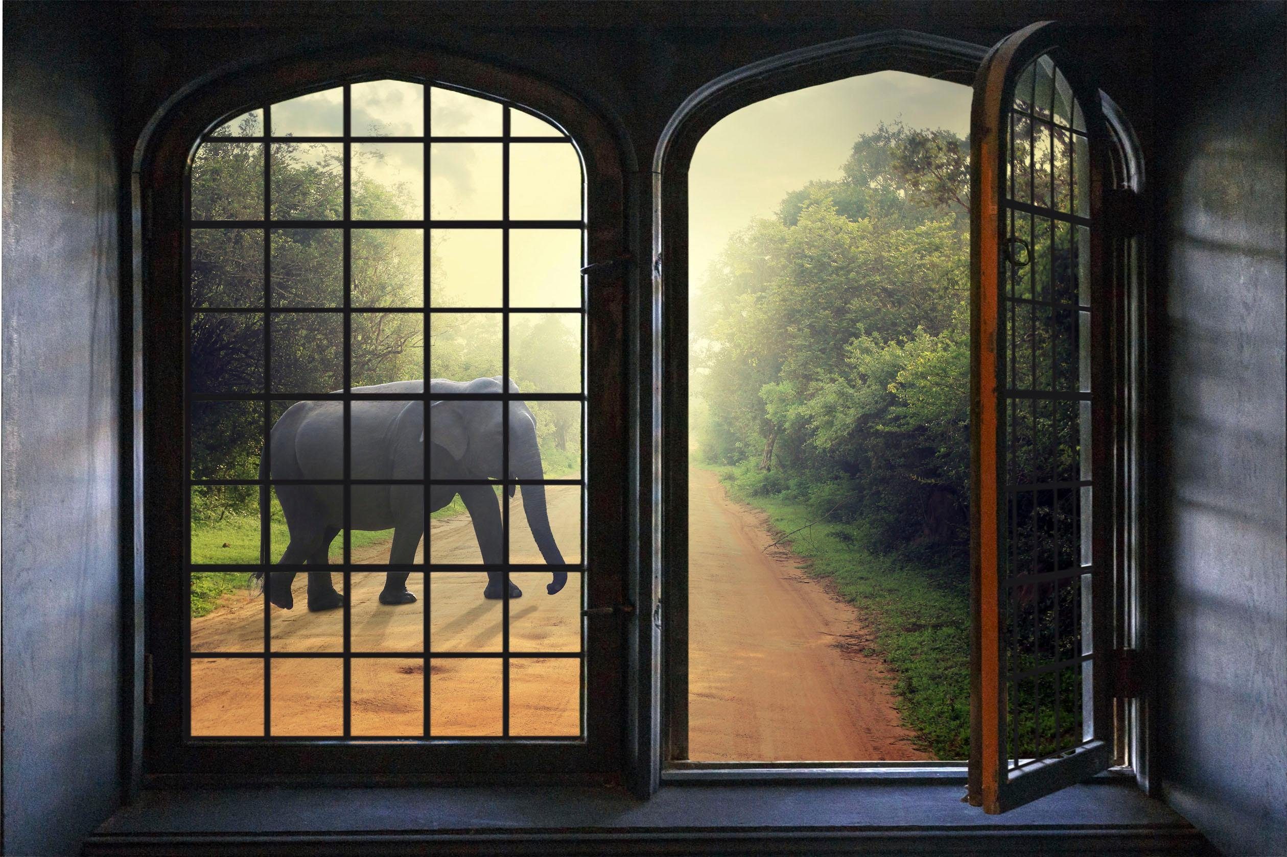 queence Wandfolie Olifant Muursticker, muurdecoratie, zelfklevend, 3D, raam