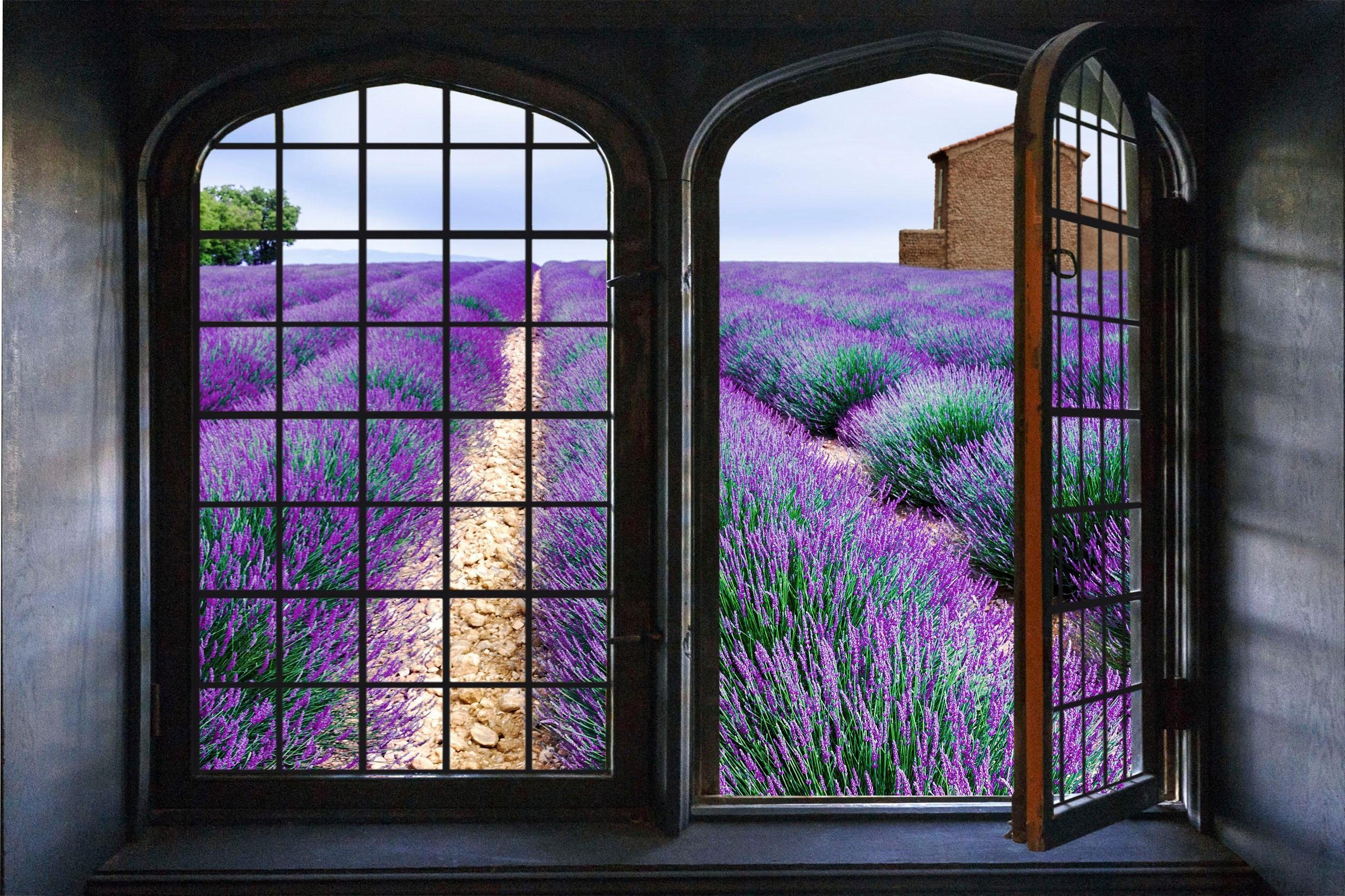 queence Wandfolie Lavendel Muursticker, muurdecoratie, zelfklevend, 3D, raam