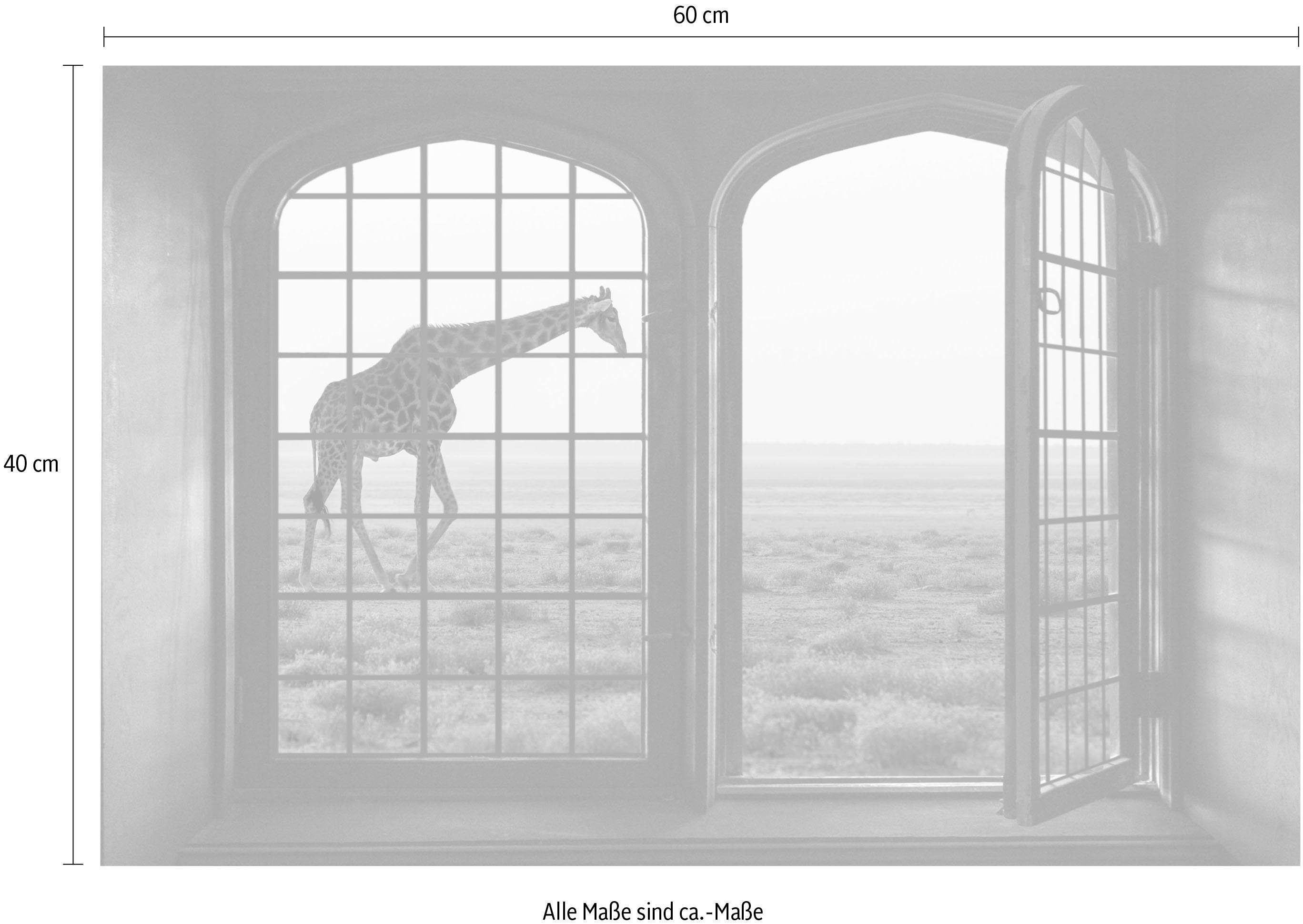 queence Wandfolie Giraf Muursticker, muurdecoratie, zelfklevend, 3D, raam