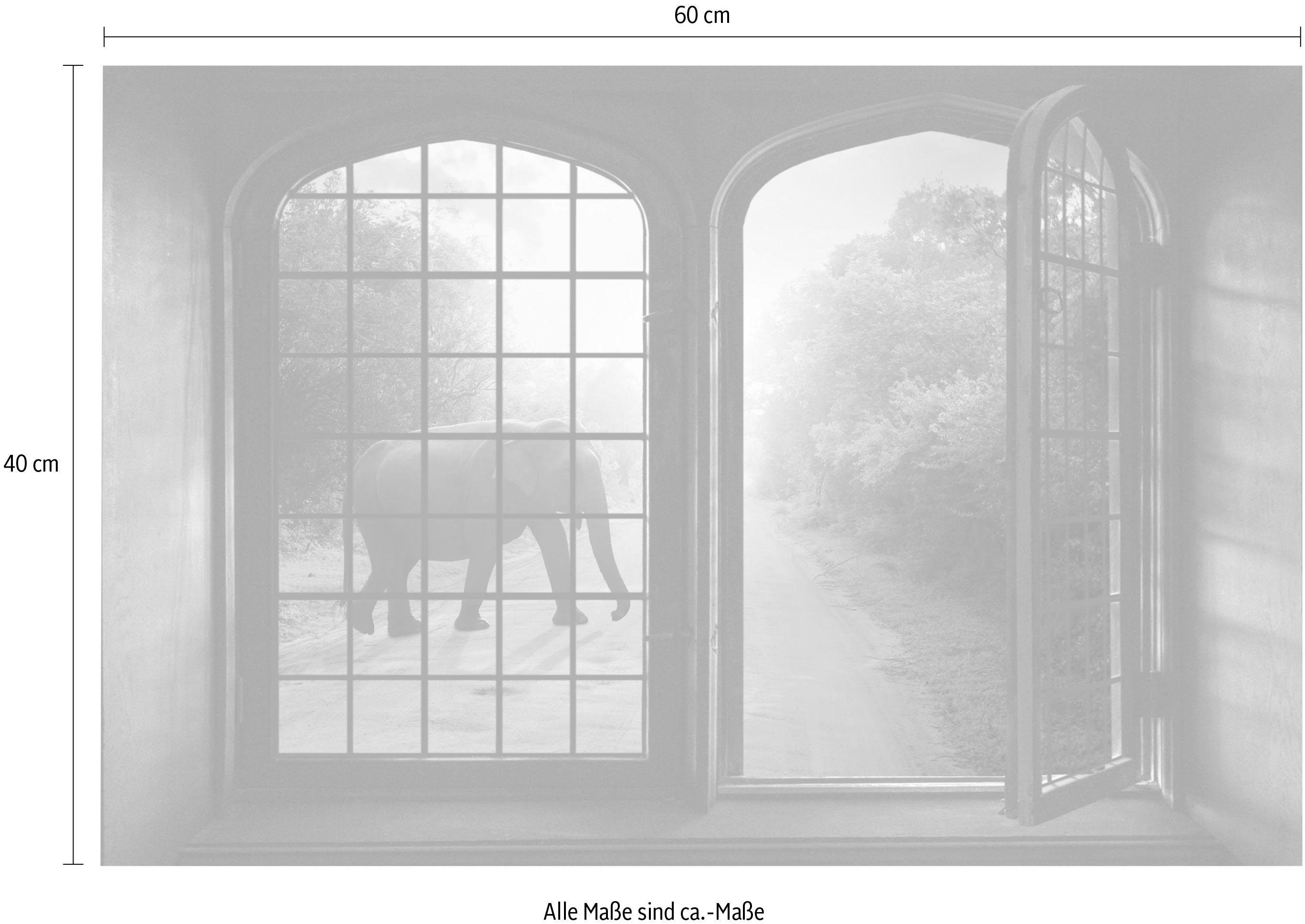 queence Wandfolie Olifant Muursticker, muurdecoratie, zelfklevend, 3D, raam