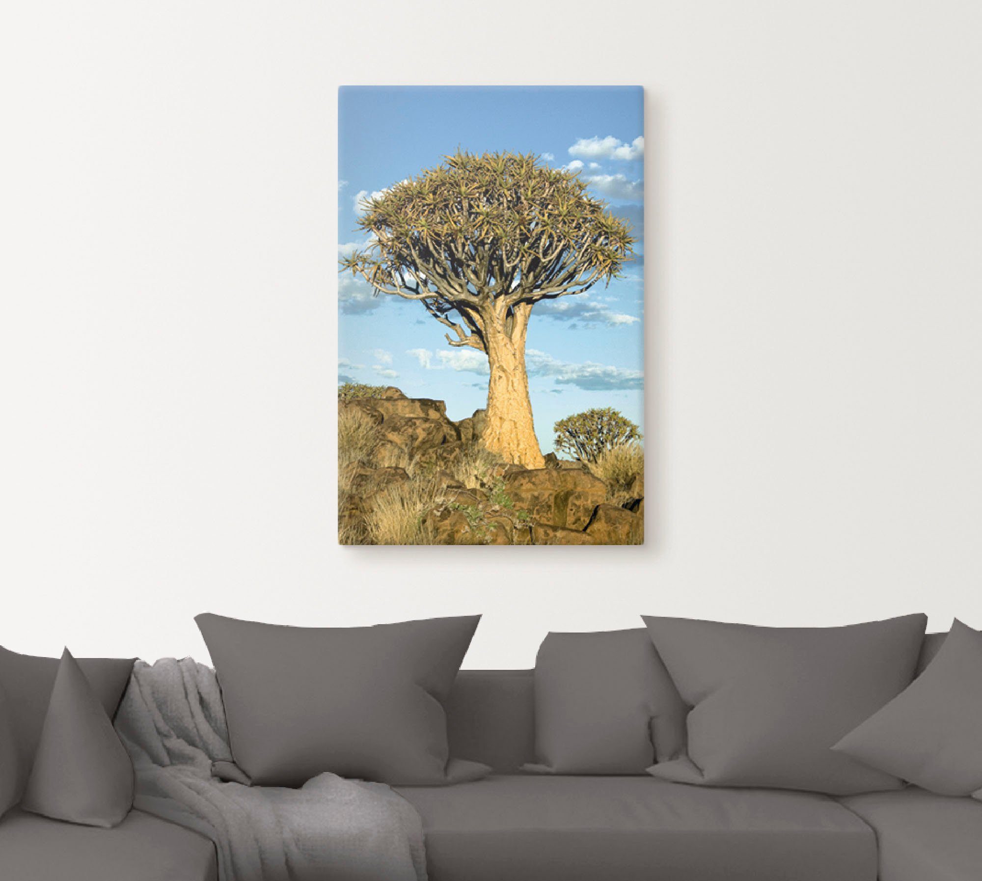 Artland Artprint Kokerboom als artprint van aluminium, artprint op linnen, muursticker of poster in verschillende maten
