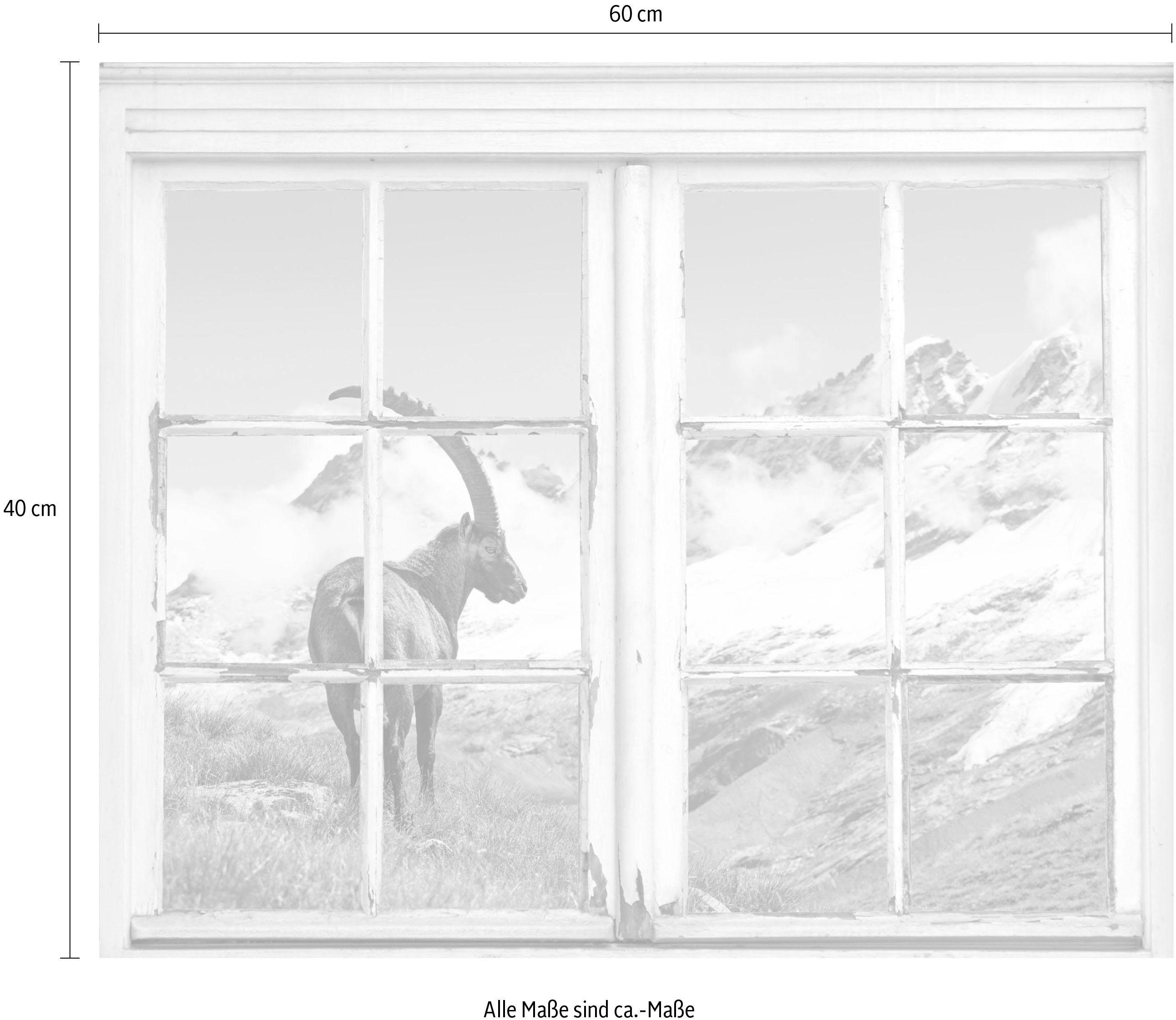 queence Wandfolie Steenbok Muursticker, muurdecoratie, zelfklevend, 3D, raam, steenbok