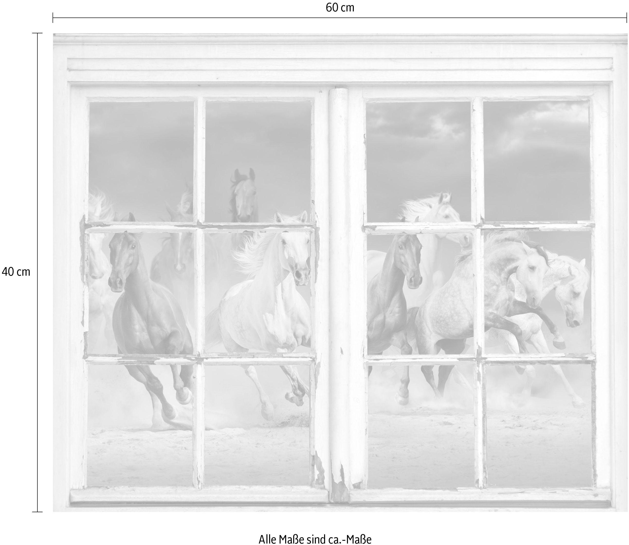queence Wandfolie Paarden Muursticker, muurdecoratie, zelfklevend, 3D, raam
