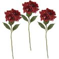 i.ge.a. kunstbloem hortensia set van 3 (3 stuks) rood