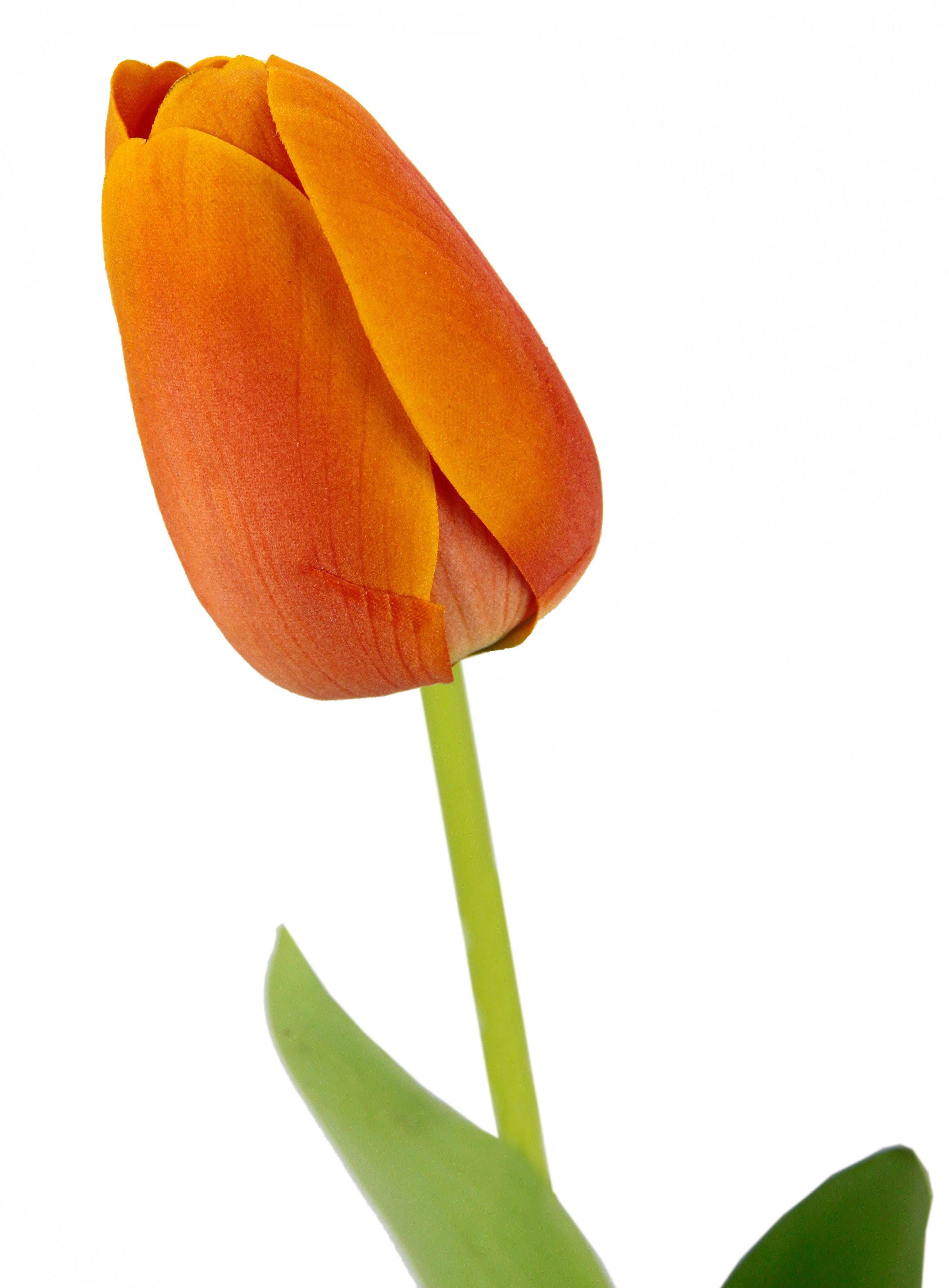 I.GE.A. Kunstbloem Real Touch Tulpen set van 5 kunst-tulpenknoppen kunstbloemen snijbloem (5 stuks)