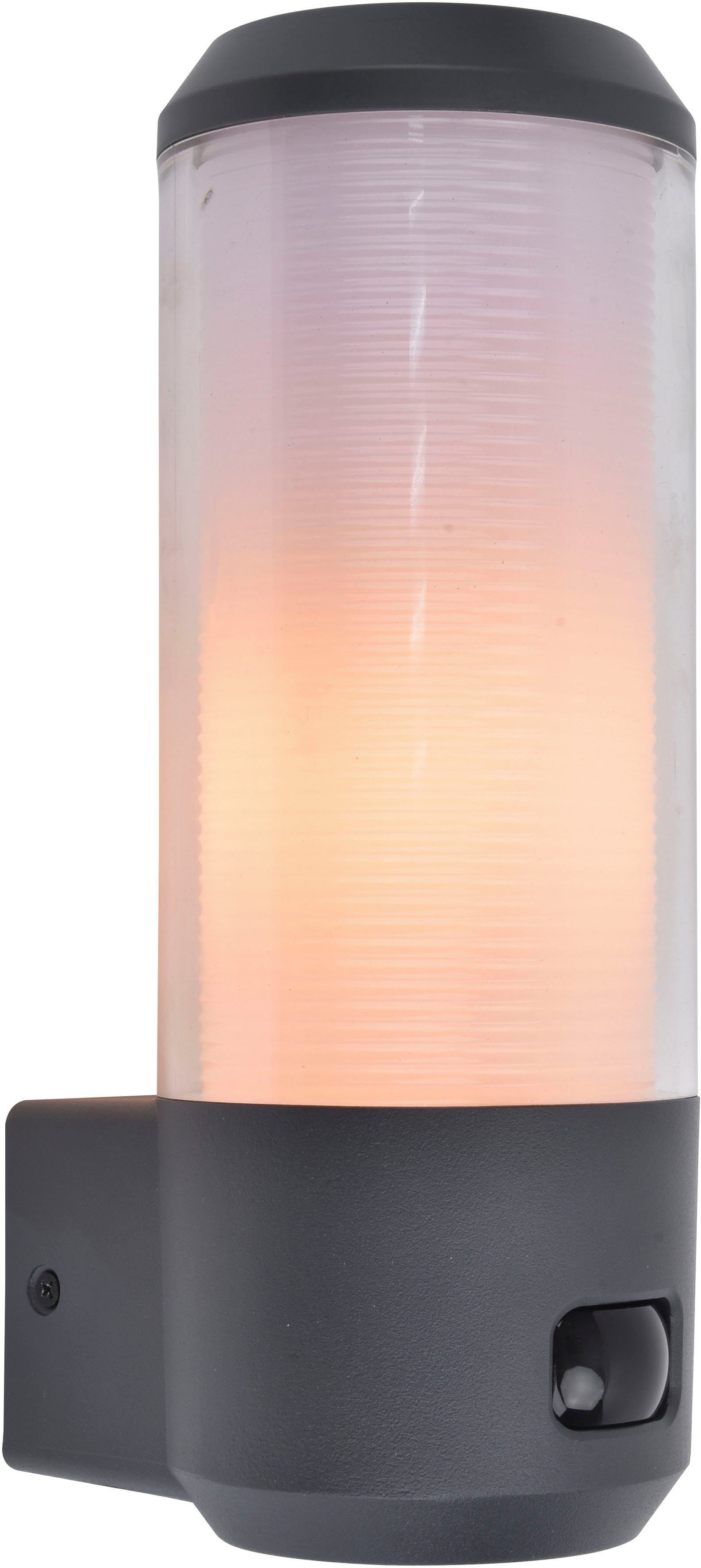 LUTEC Wandlamp voor buiten HEROS (1 stuk)