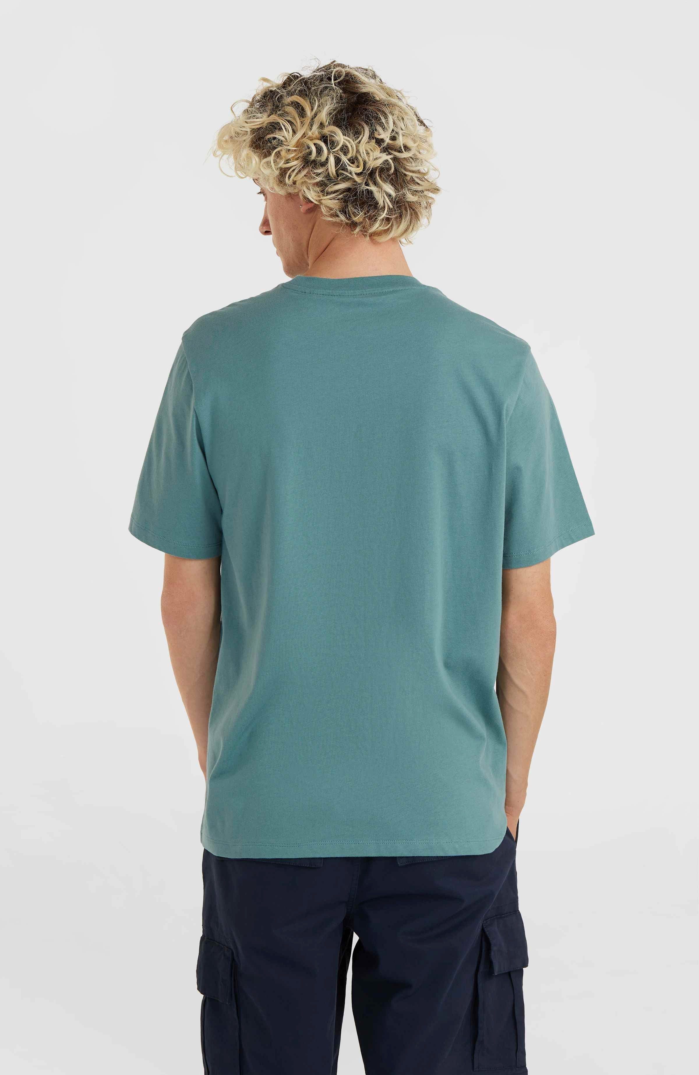 O'Neill T-shirt O'NEILL SMALL LOGO T-SHIRT