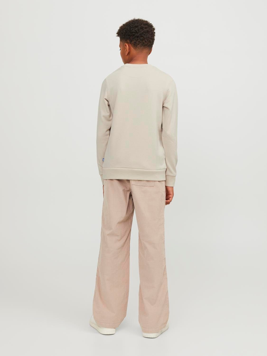 Jack & Jones Junior Sweatshirt JJEBRADLEY SWEAT CREW NOOS JNR
