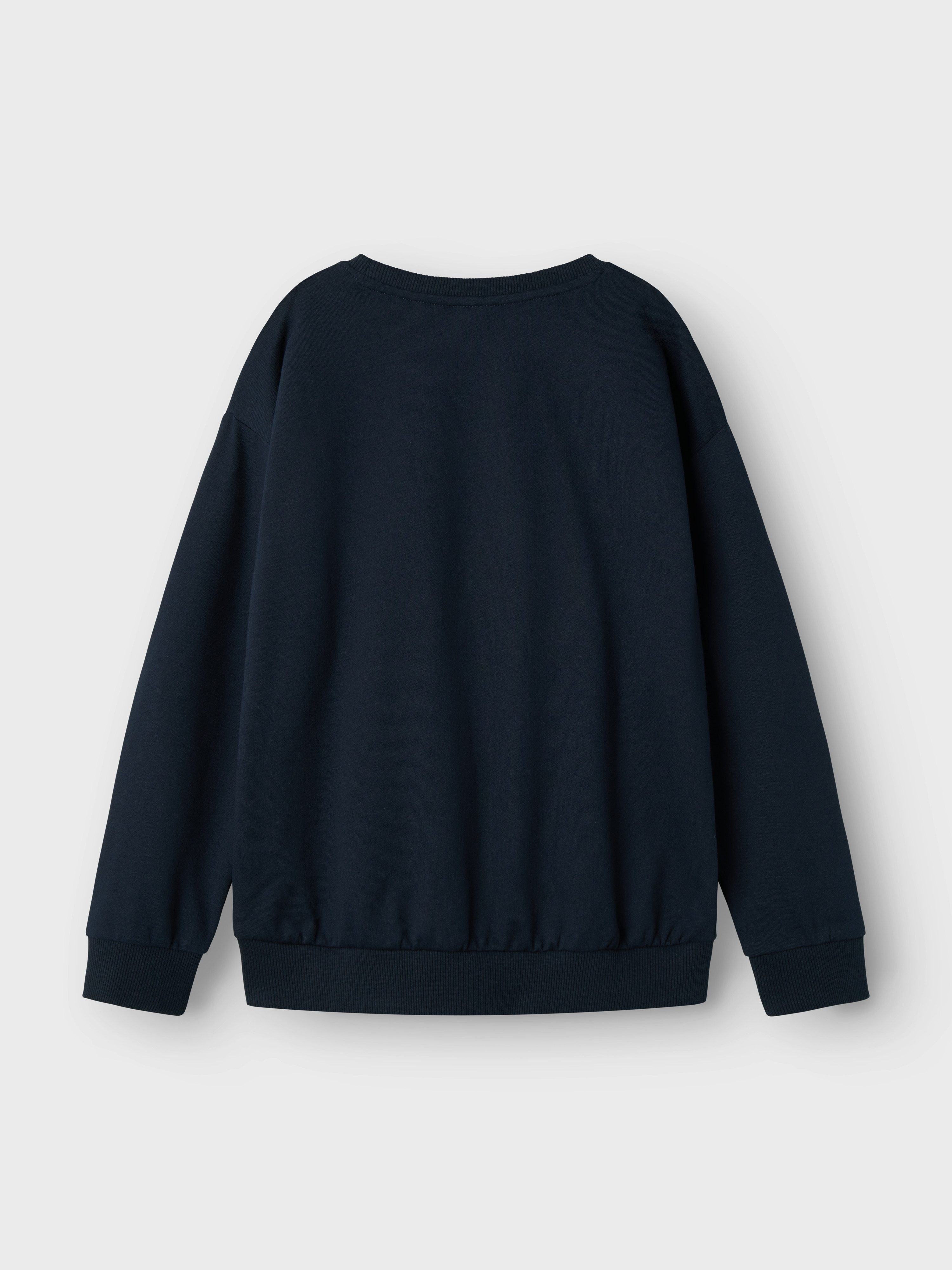 Name It Sweatshirt NKMDAY POKEMON NREG SWEAT BRU NOOS SKY