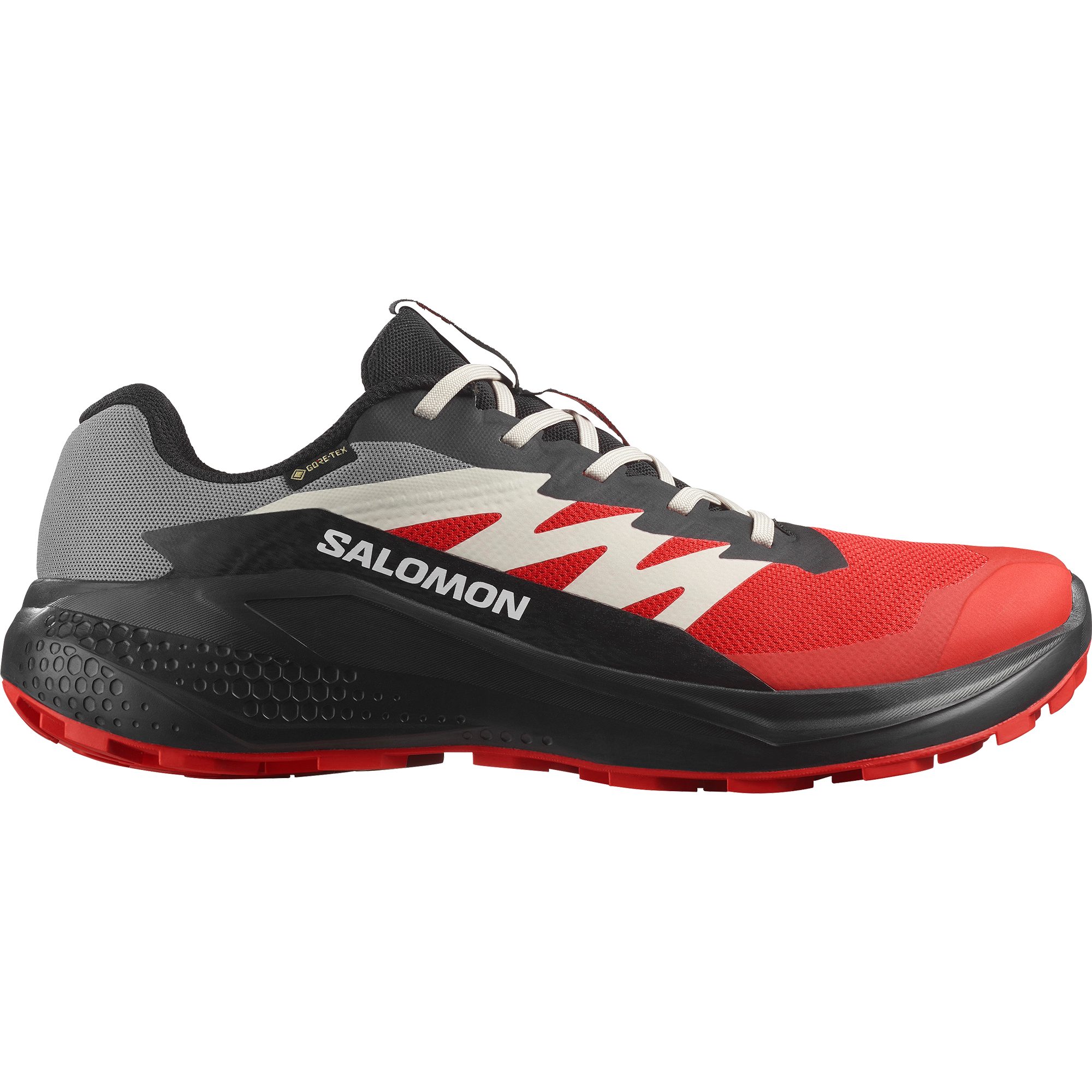 Salomon Runningschoenen ALPHAGLIDE GORE-TEX