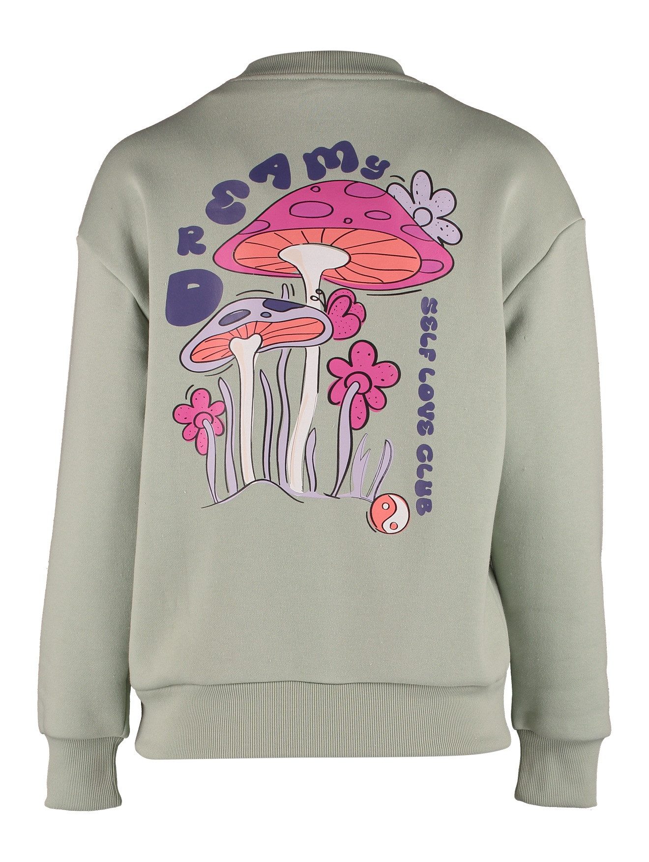 HaILYS Sweatshirt LS C SW Mi44lou