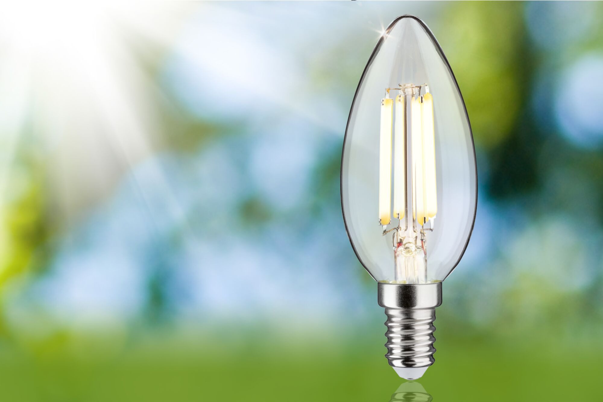 Paulmann Led-verlichting Eco-Line filament 230V LED kaars E14 1-set 525lm 2,5W 3000K helder (1 stuk)