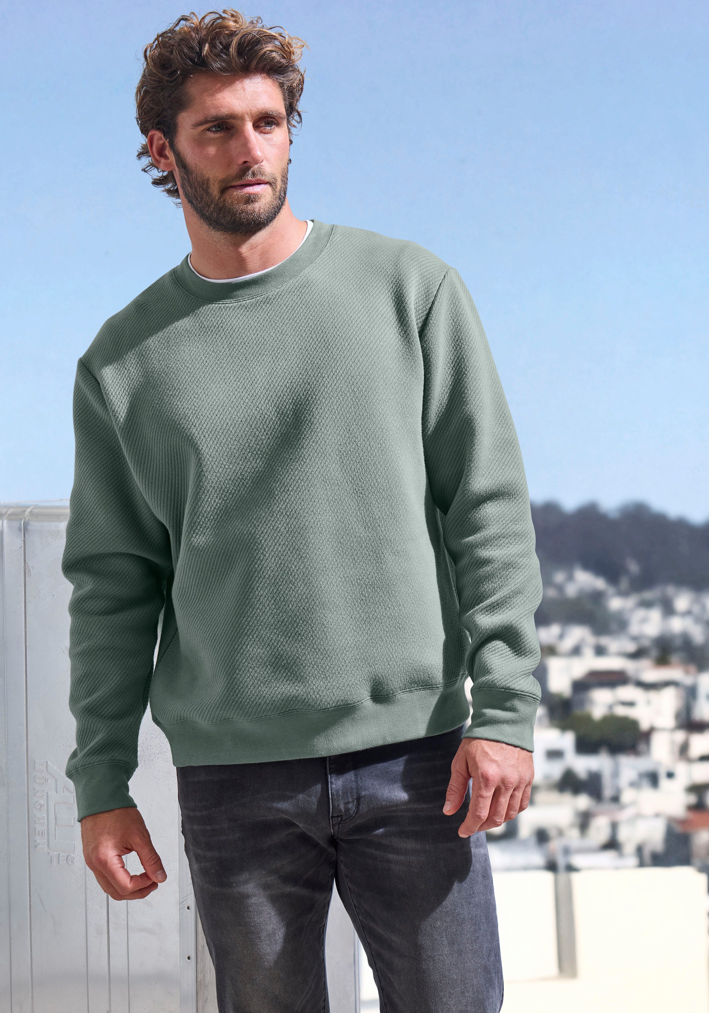 John Devin Sweatshirt Langarm, trui met structuur, ronde hals, katoenmix